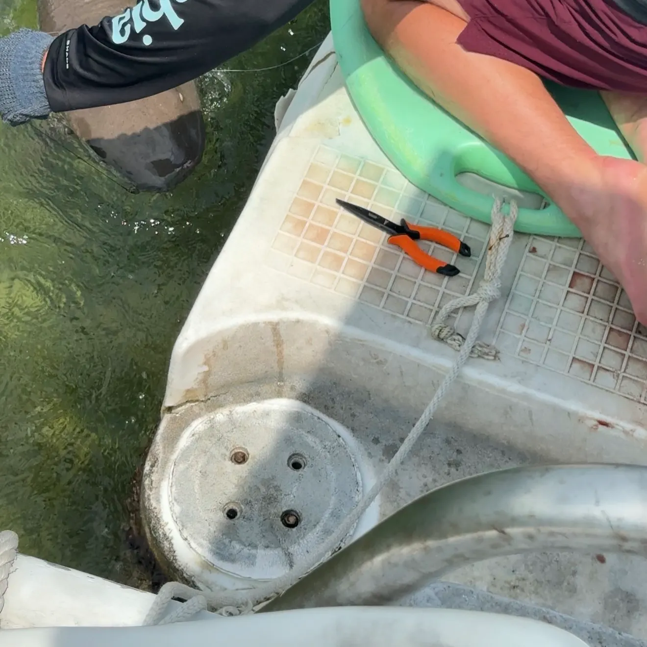 The most recent Nurse shark catches on Fishbrain