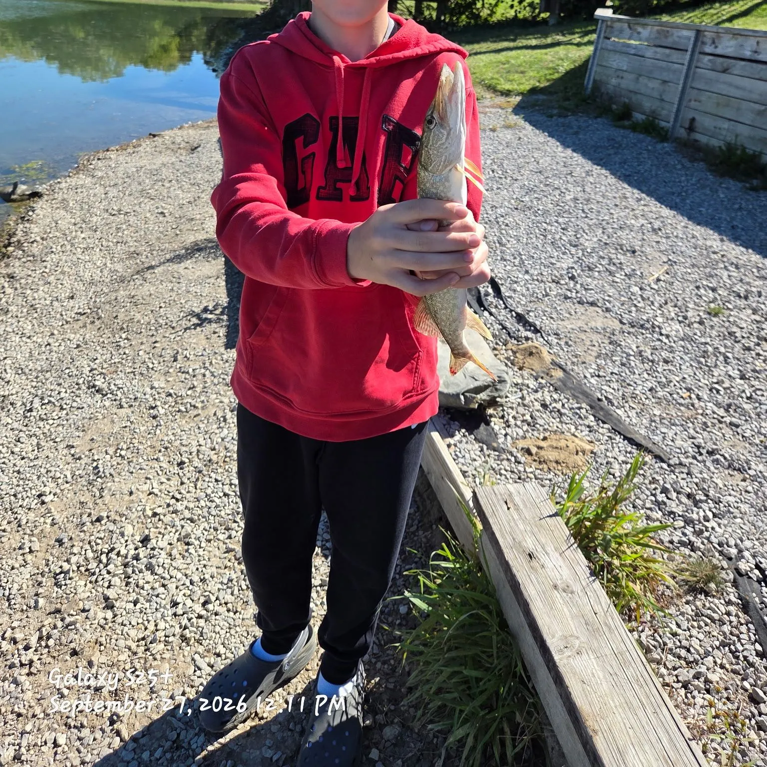Fish caught on Fishbrain