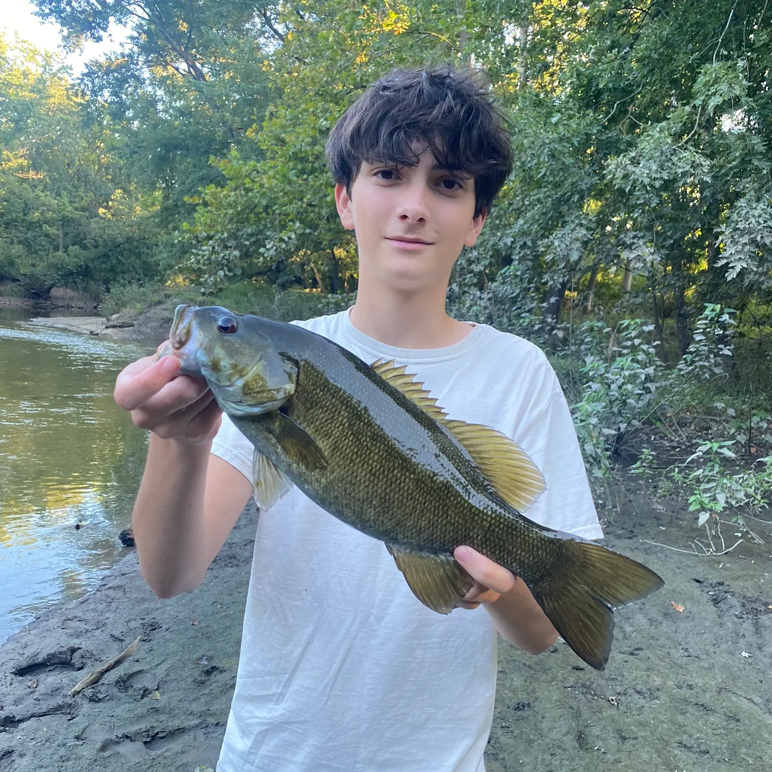 Smallmouth bass caught on Fishbrain