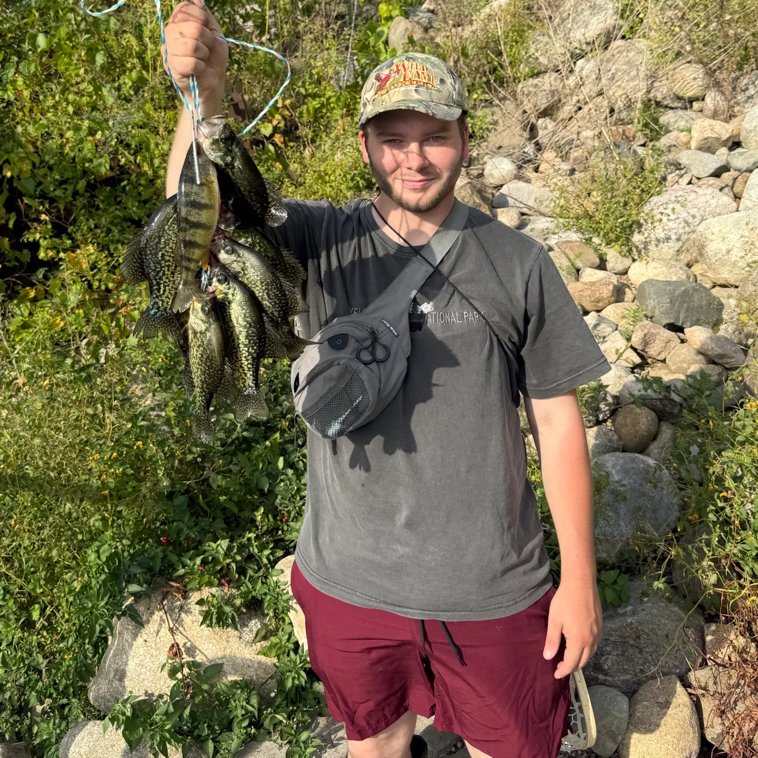 Black crappie caught on Fishbrain