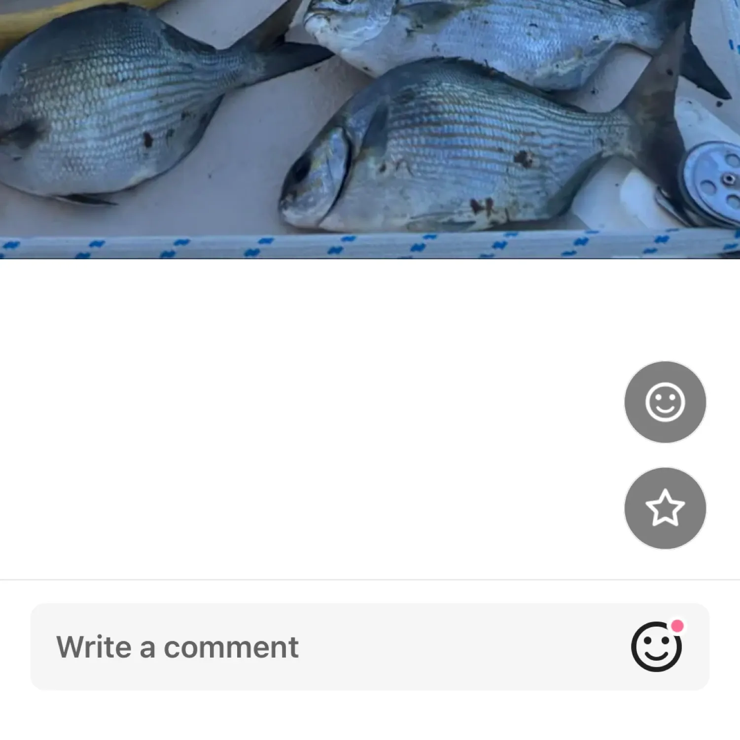 most liked catch image