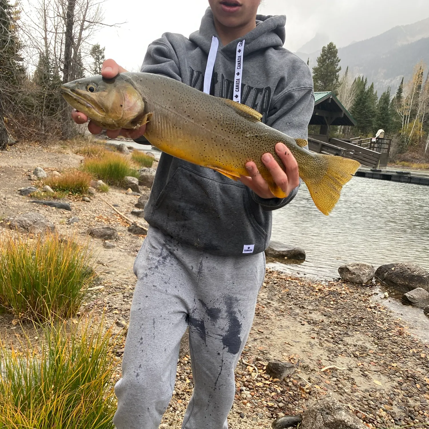The most recent Snake River fine-spotted cutthroat trout catches on Fishbrain