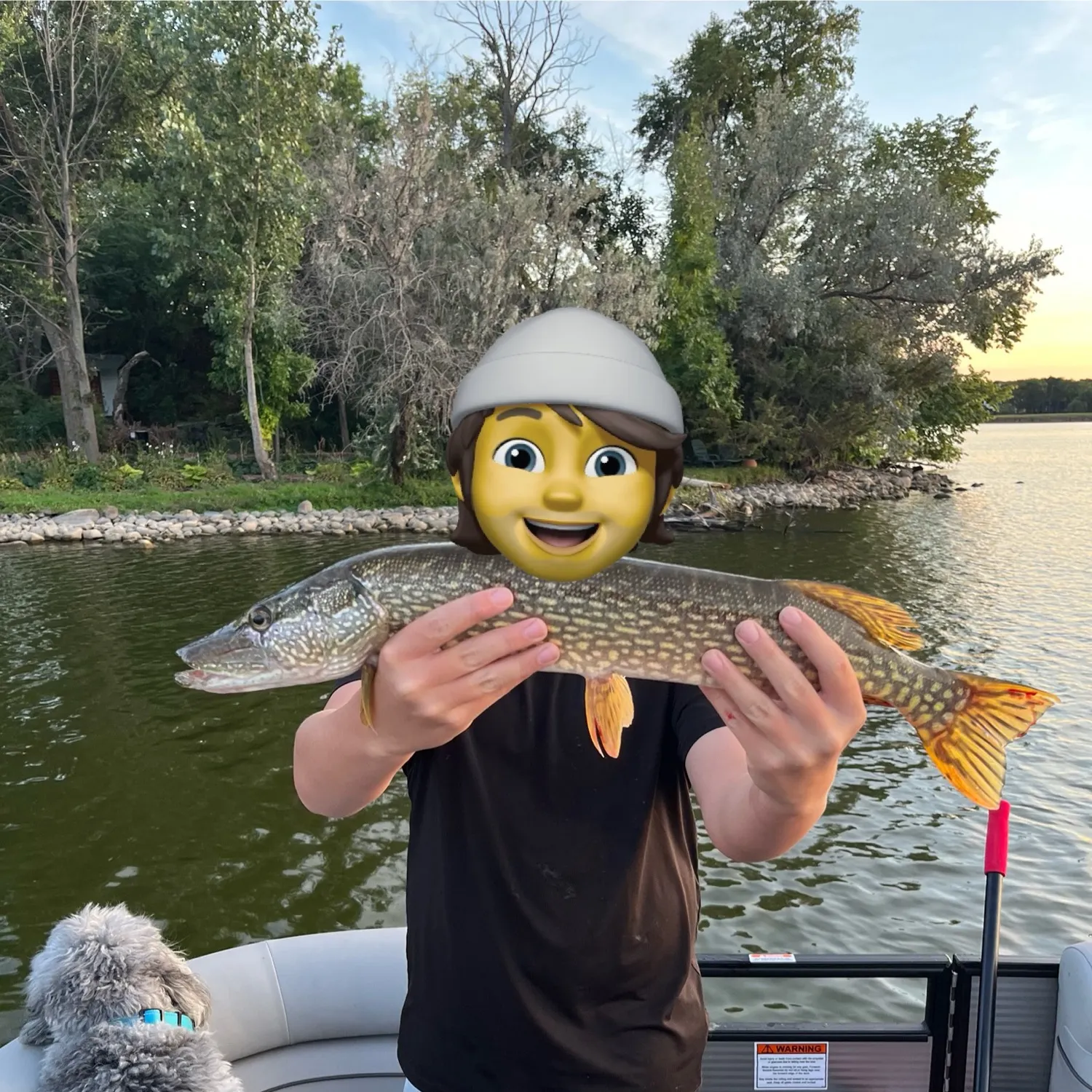 Northern pike caught on Fishbrain