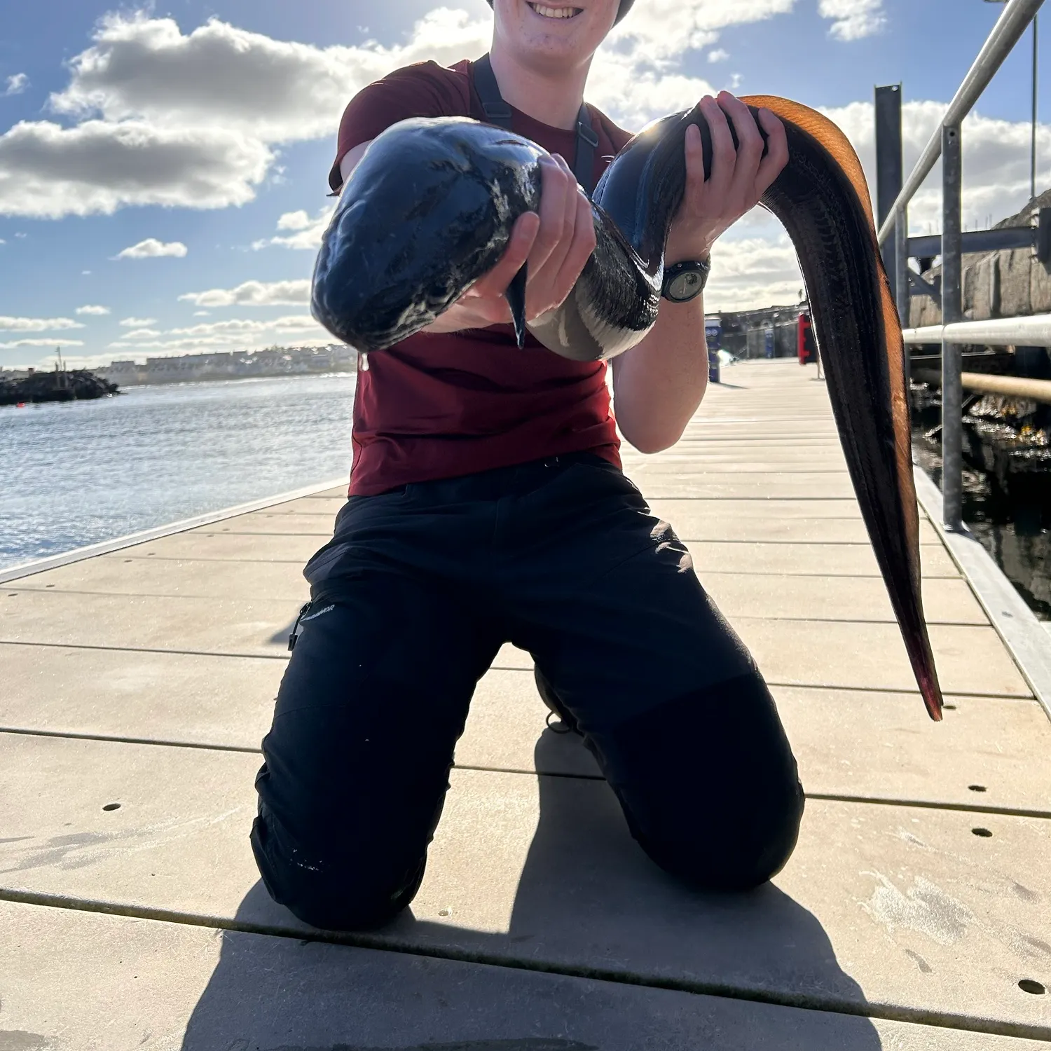 European conger caught on Fishbrain
