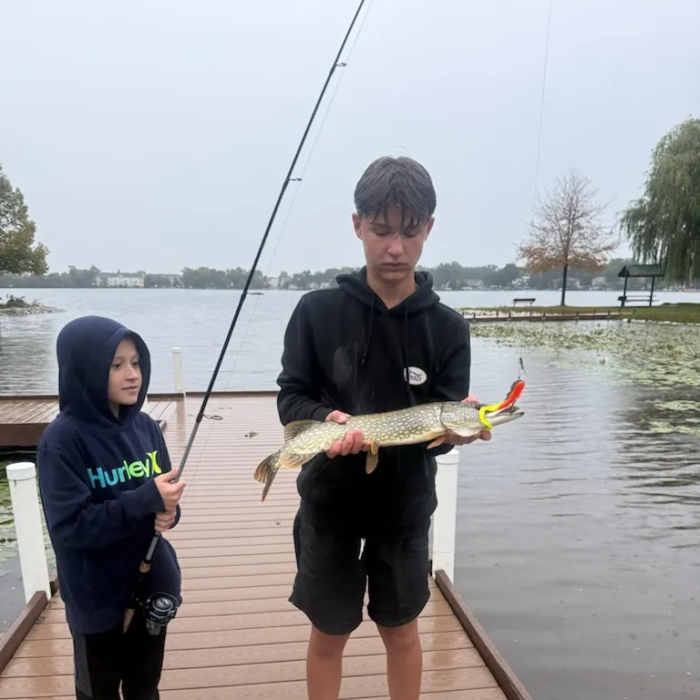 Northern pike caught on Fishbrain