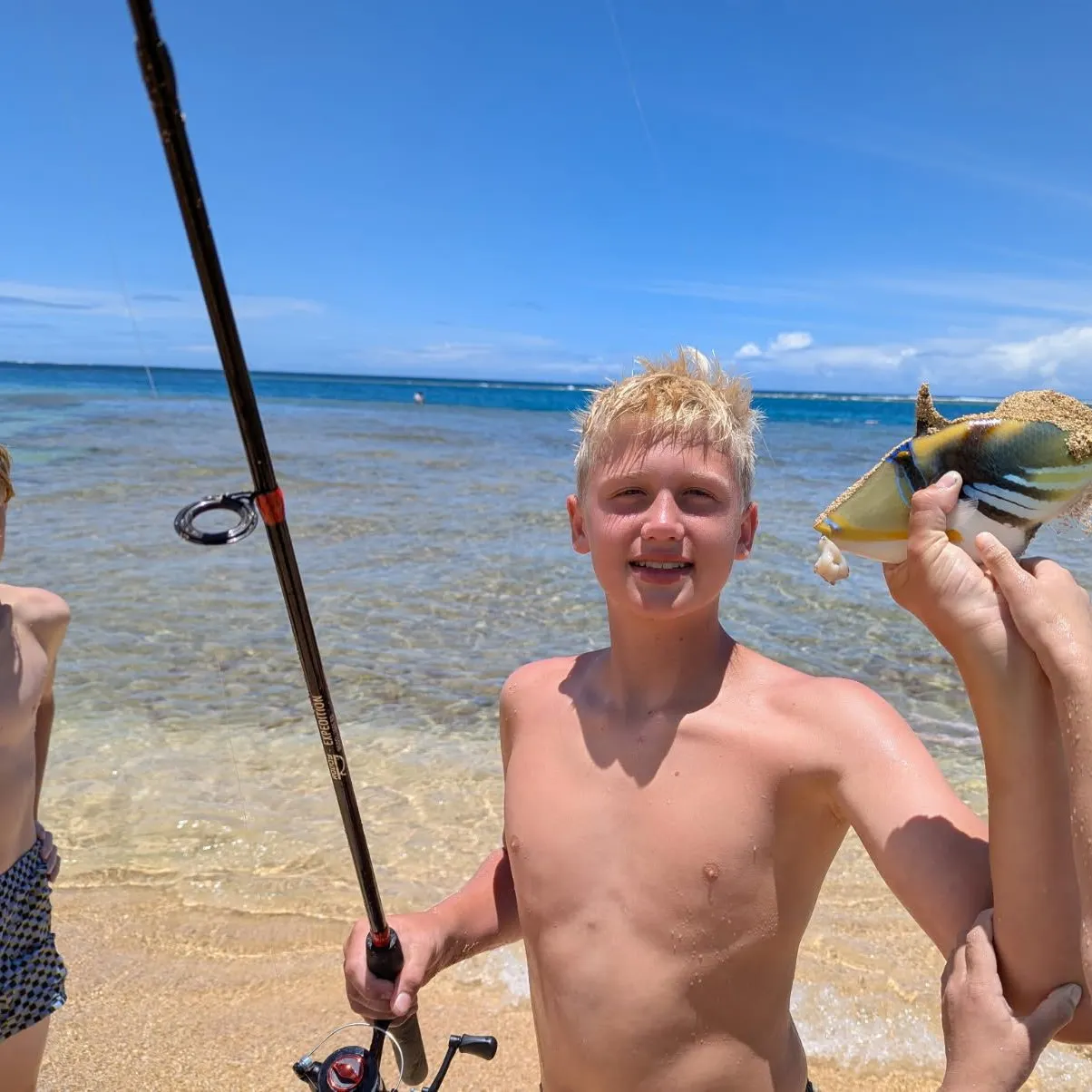 The most recent Picasso triggerfish catches on Fishbrain