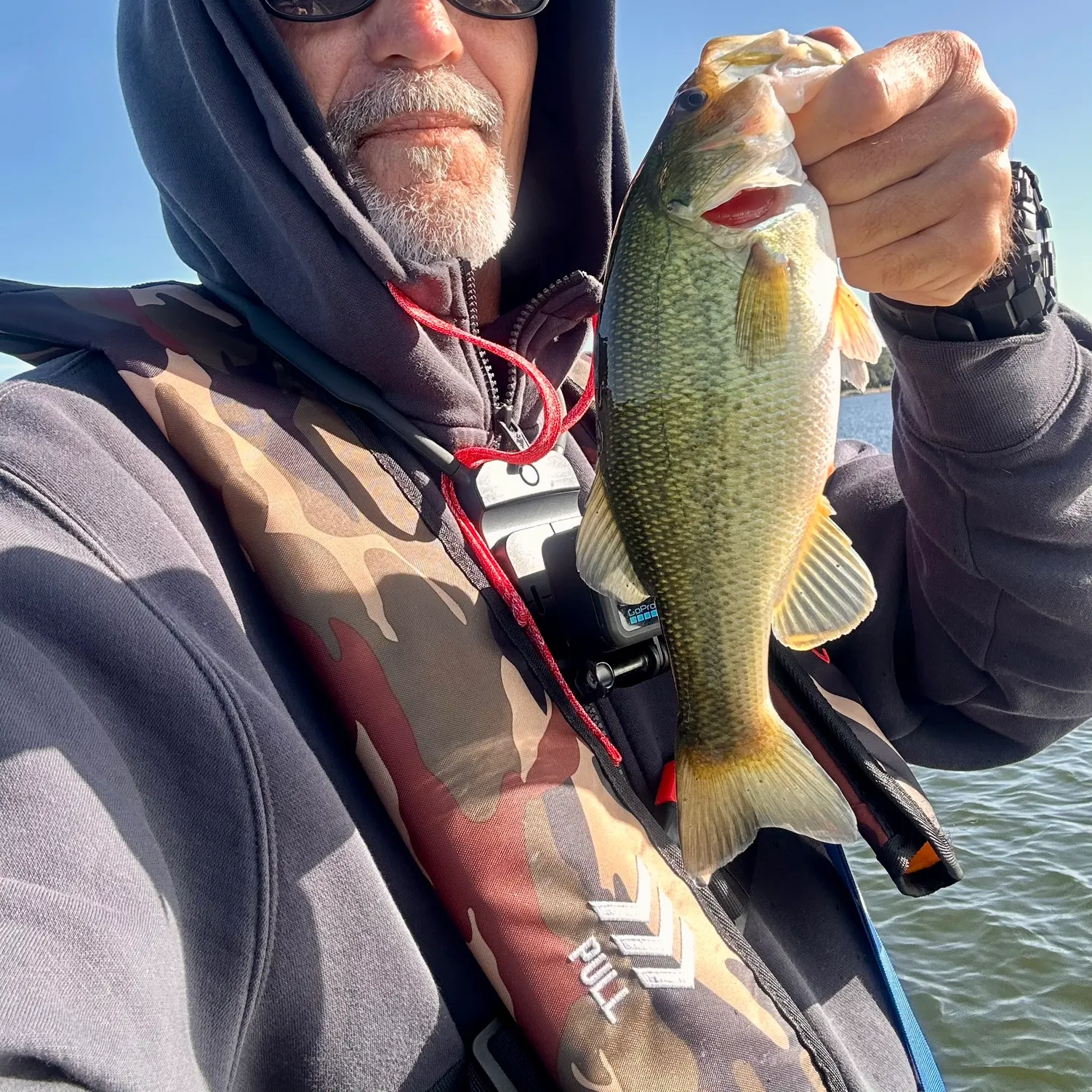 Largemouth bass caught on Fishbrain
