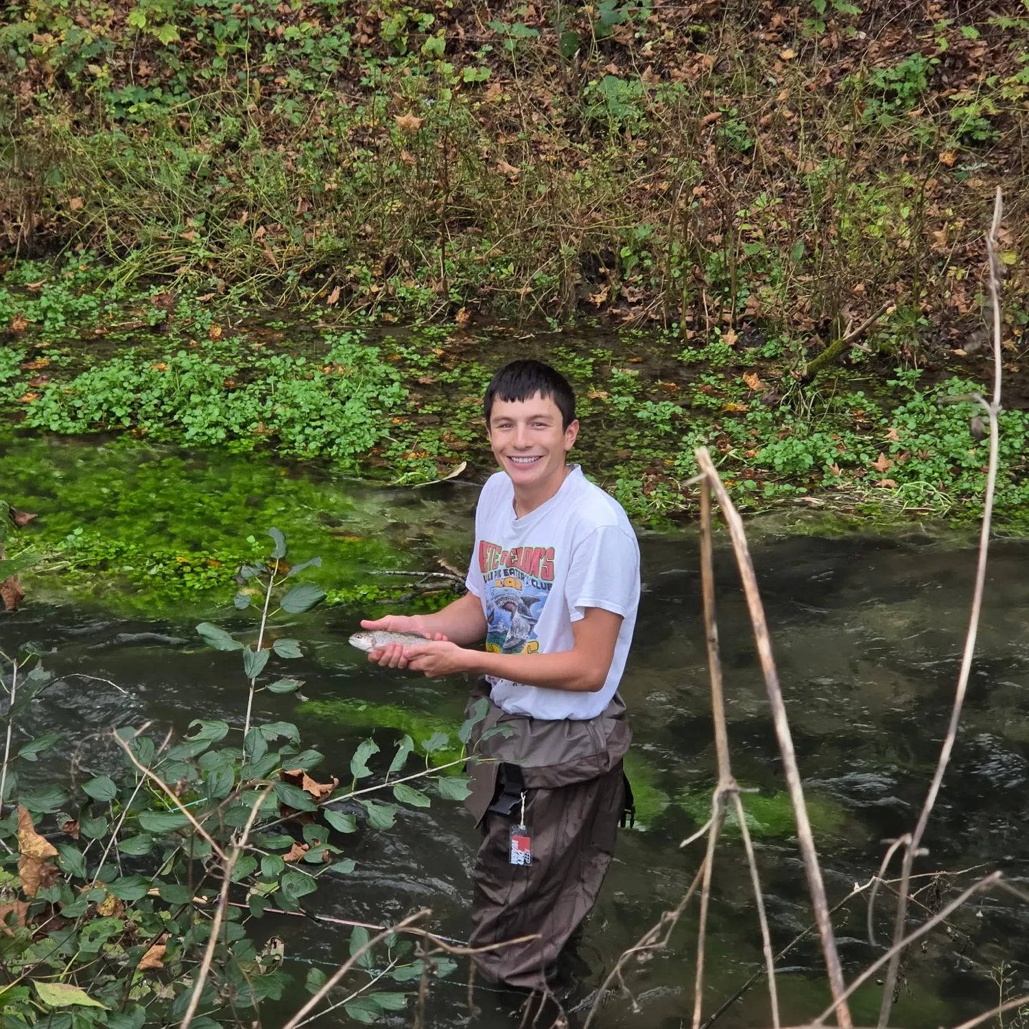 Rainbow trout caught on Fishbrain