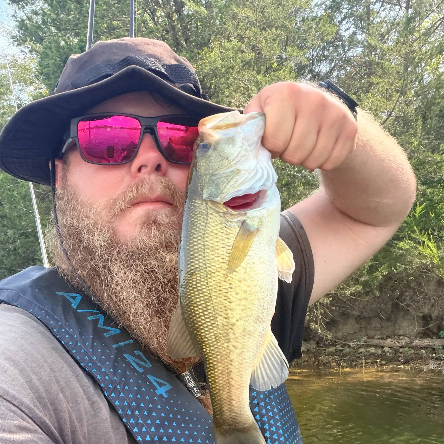Largemouth bass caught on Fishbrain