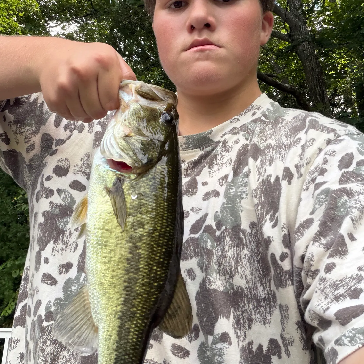 Largemouth bass caught on Fishbrain
