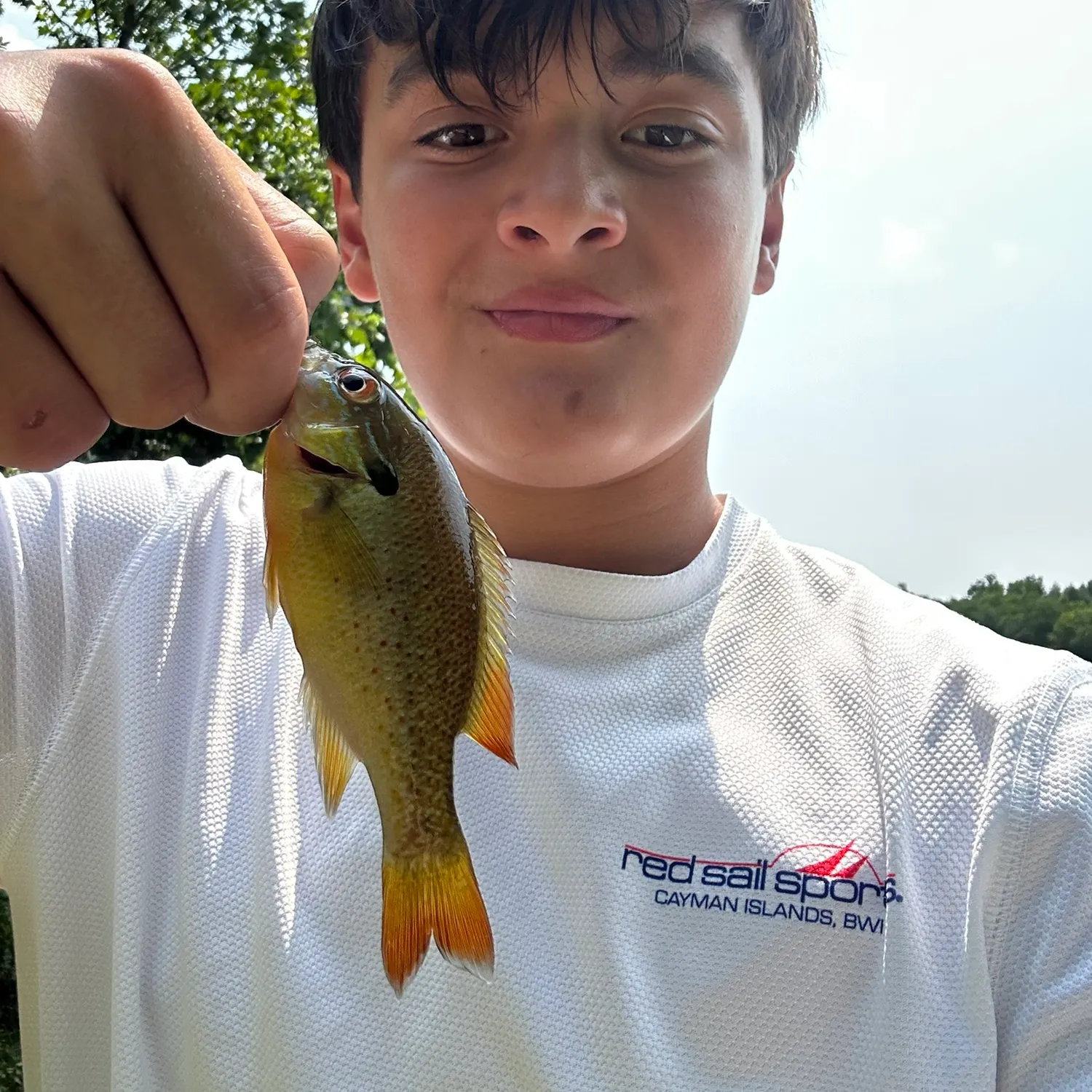 Redbreast sunfish caught on Fishbrain