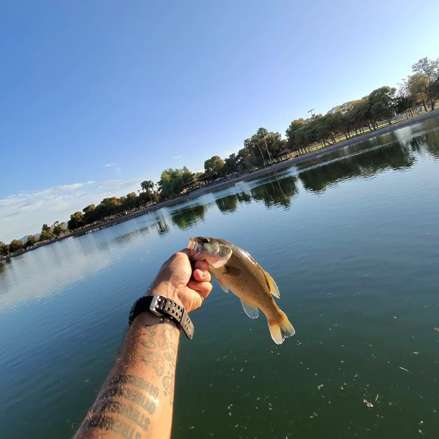 catch