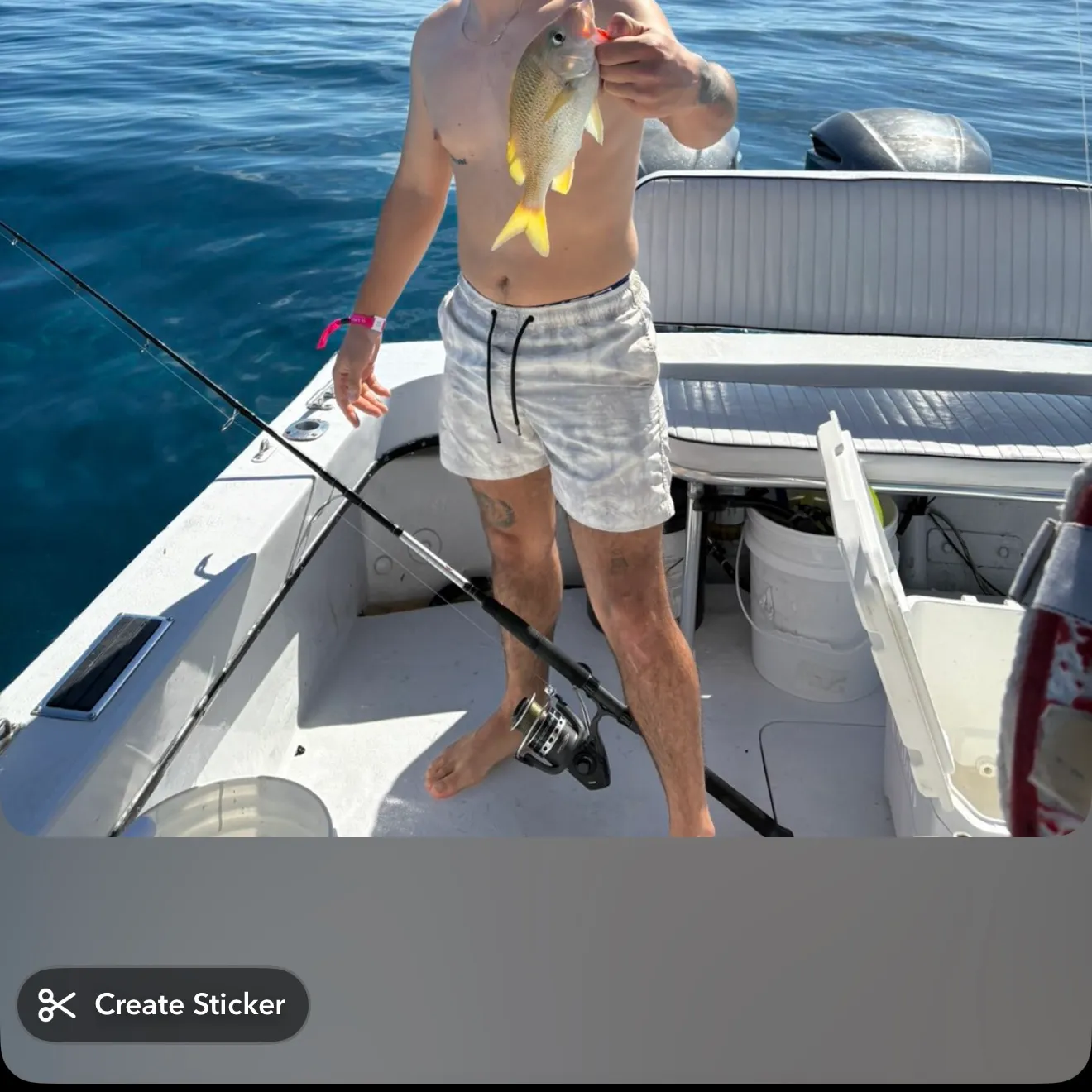 The most recent Yellowtail snapper catches on Fishbrain