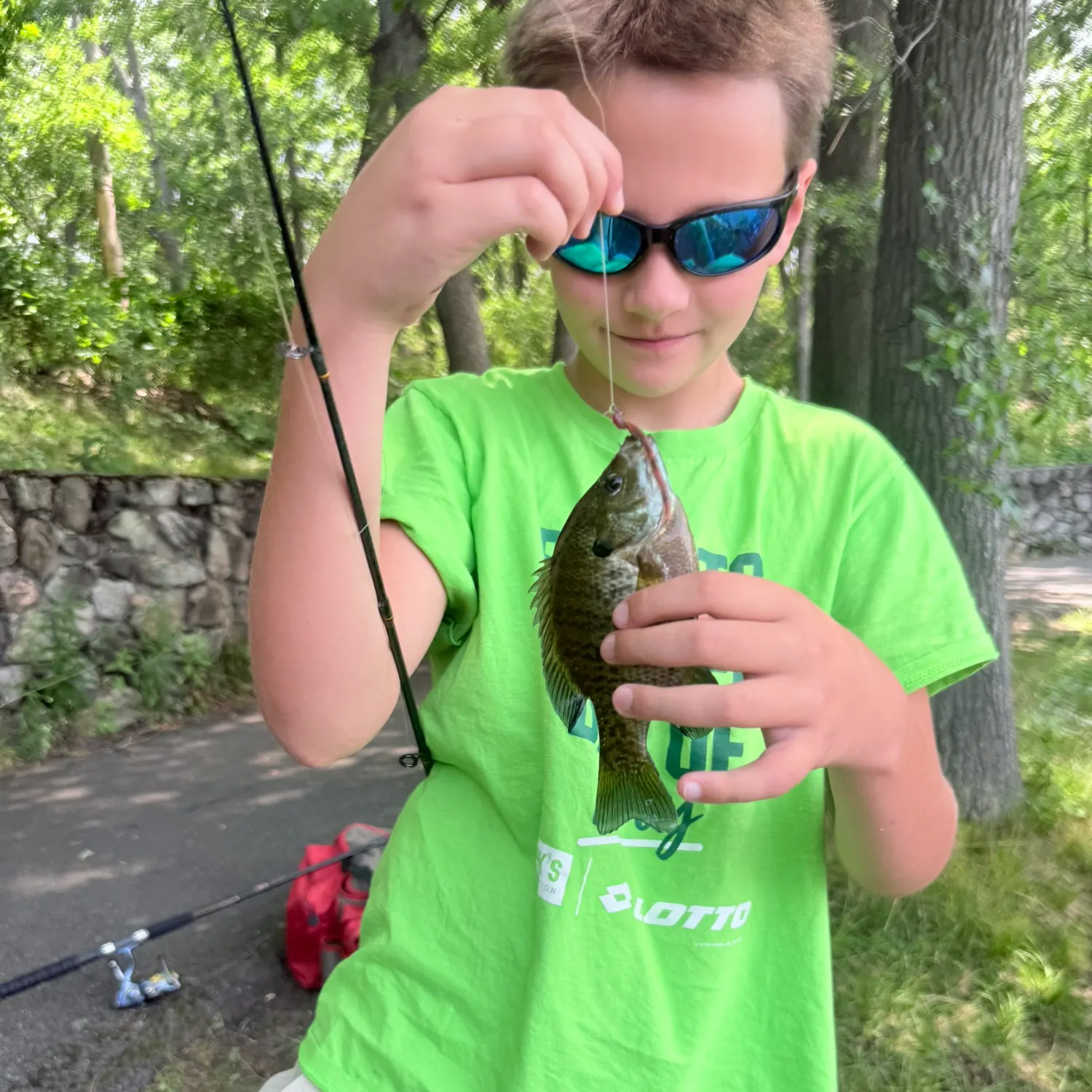 Bluegill caught on Fishbrain