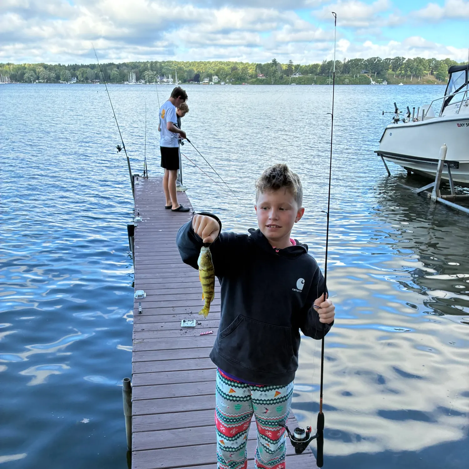 The most recent Whale shark catches on Fishbrain