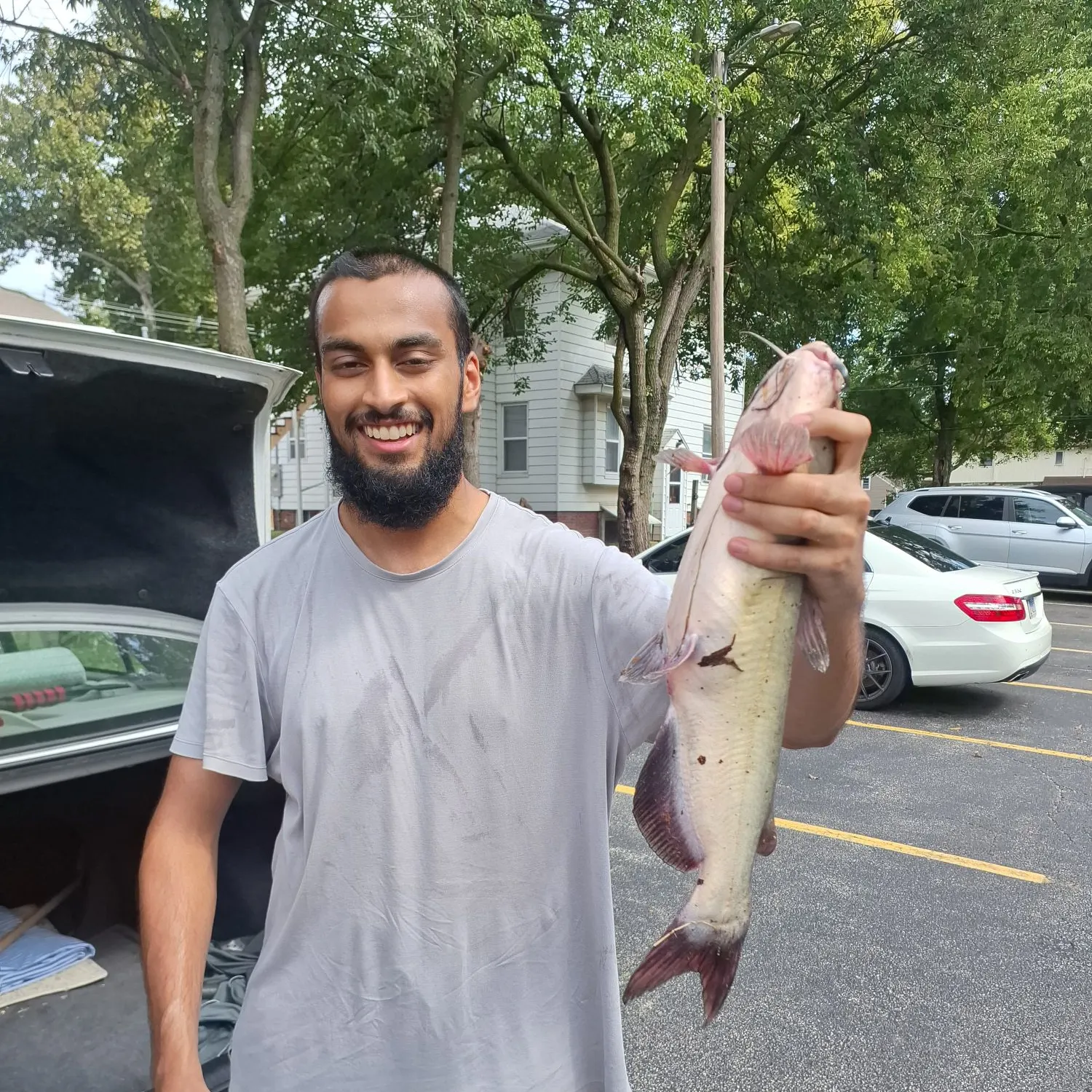 Channel catfish caught on Fishbrain