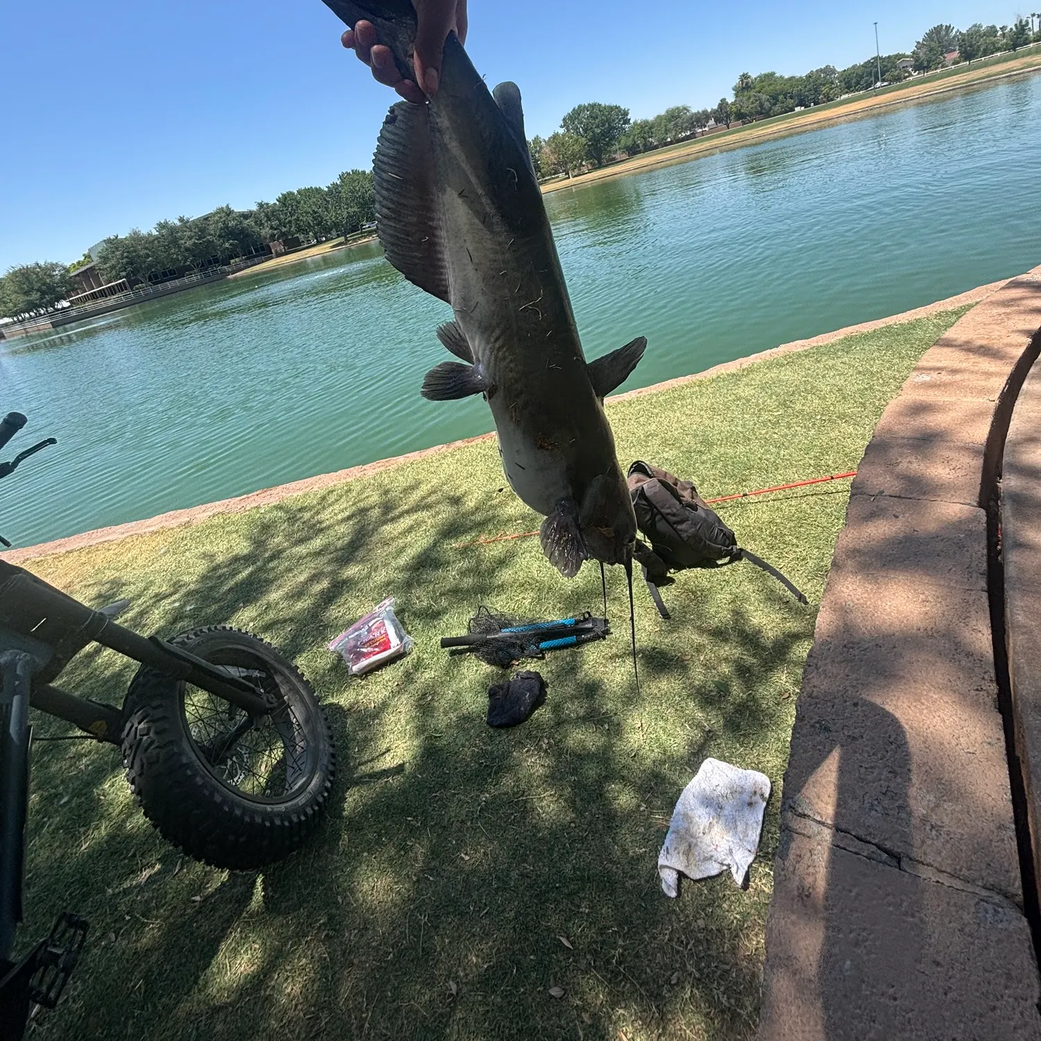 catch