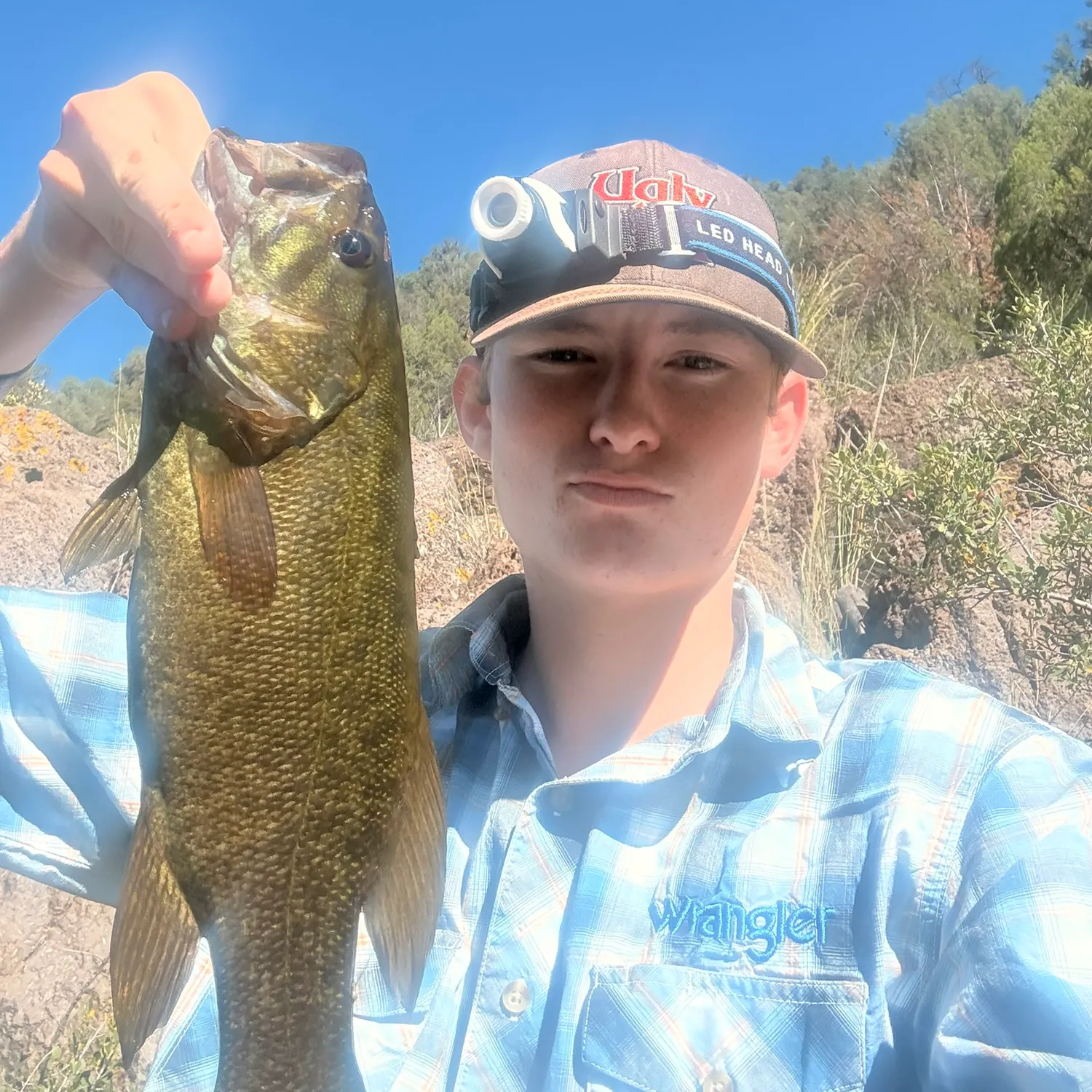 Smallmouth bass caught on Fishbrain