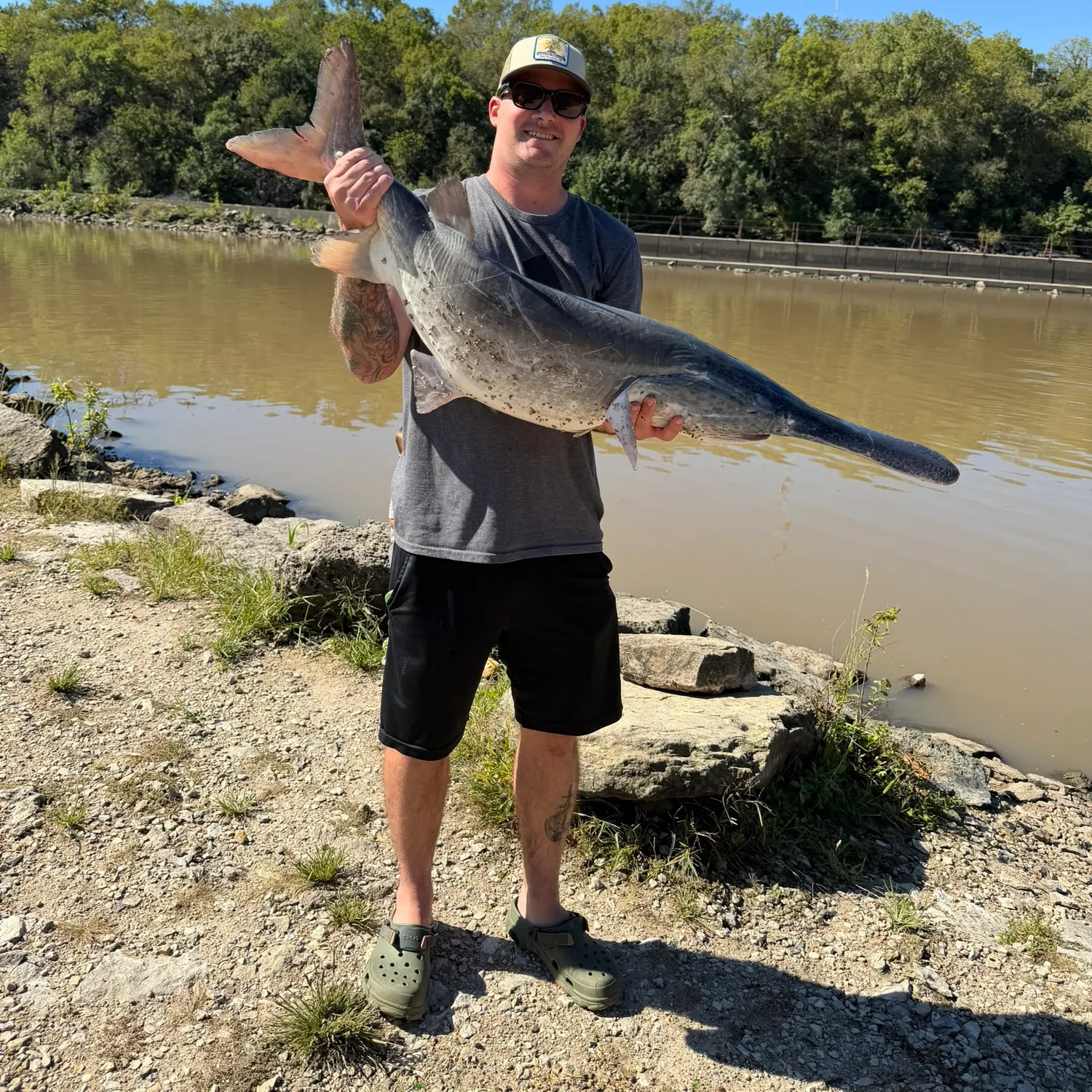 The most recent Paddlefish catches on Fishbrain