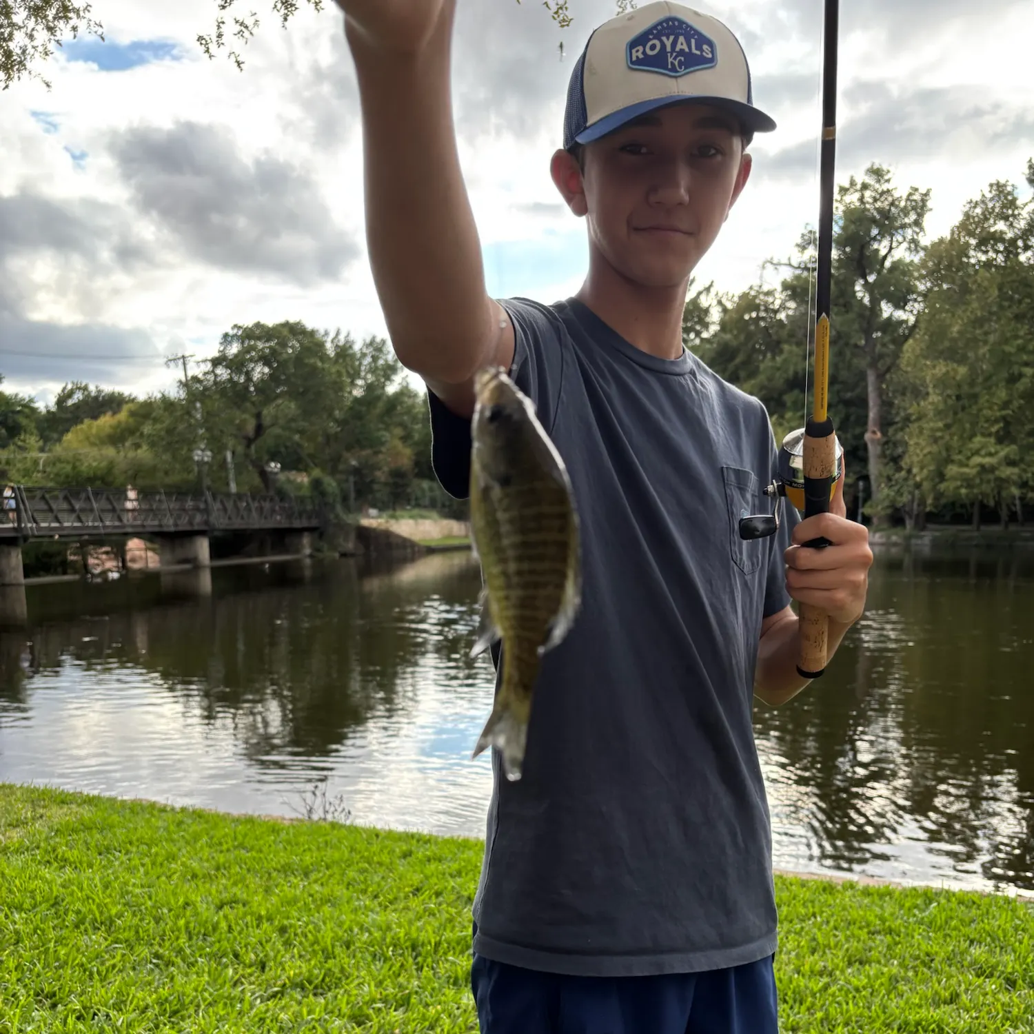 Bluegill caught on Fishbrain