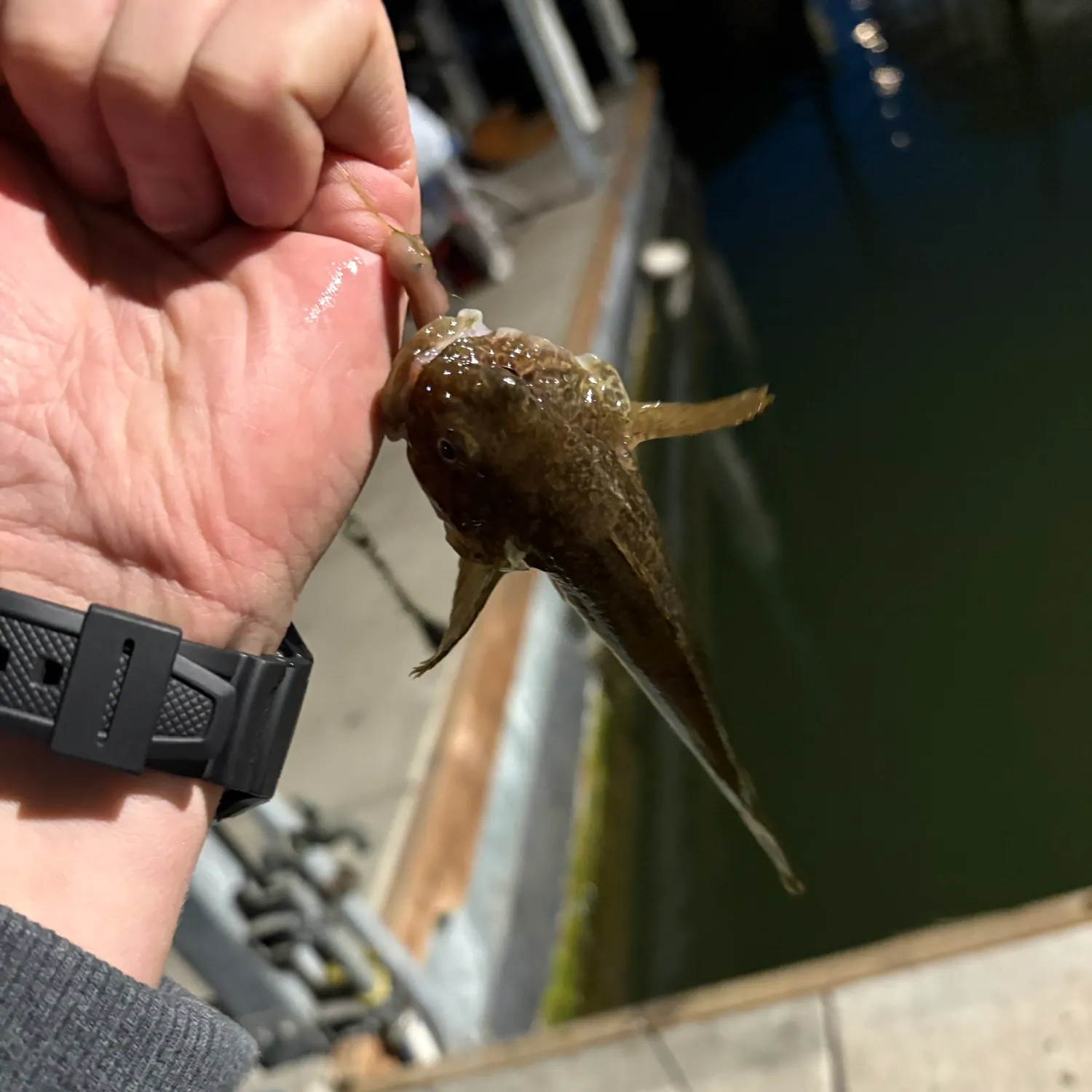catch