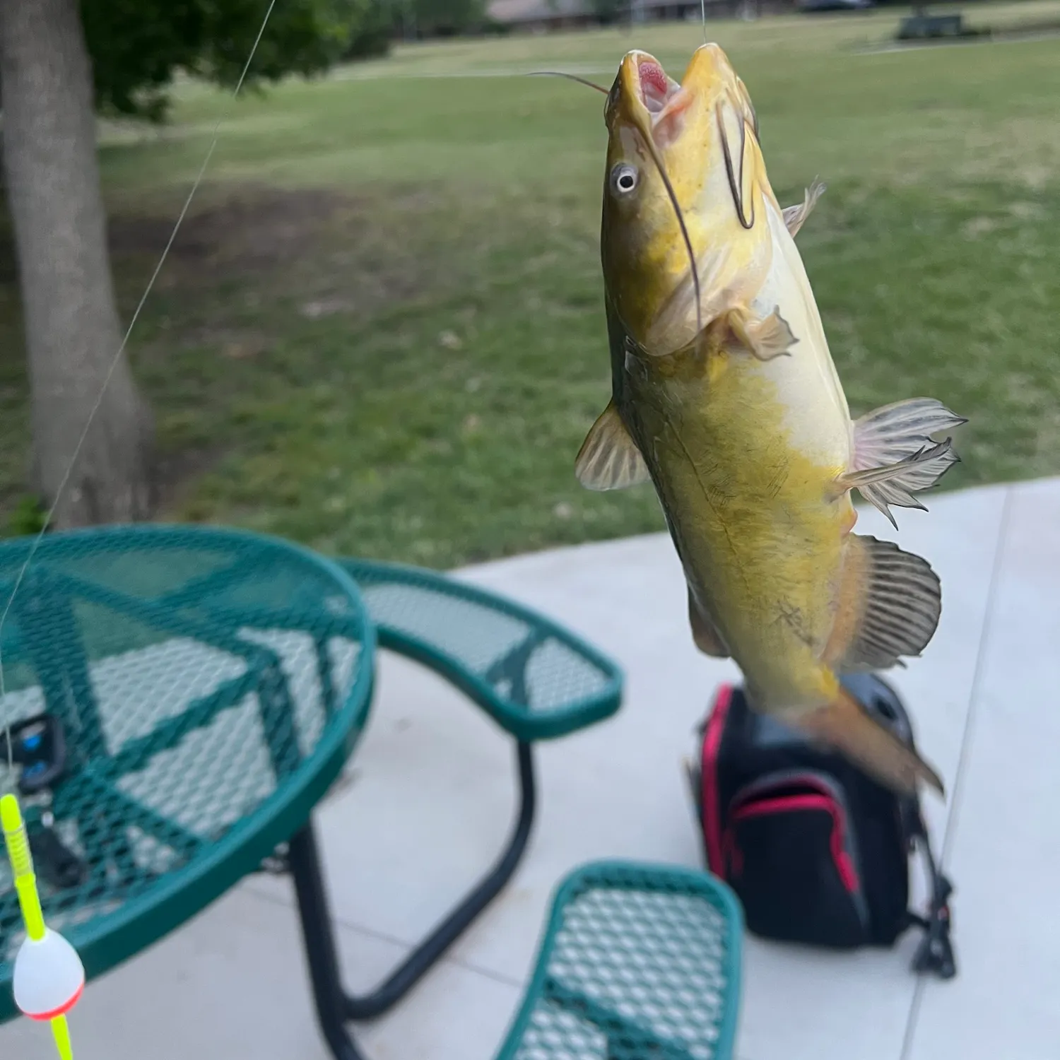 catch