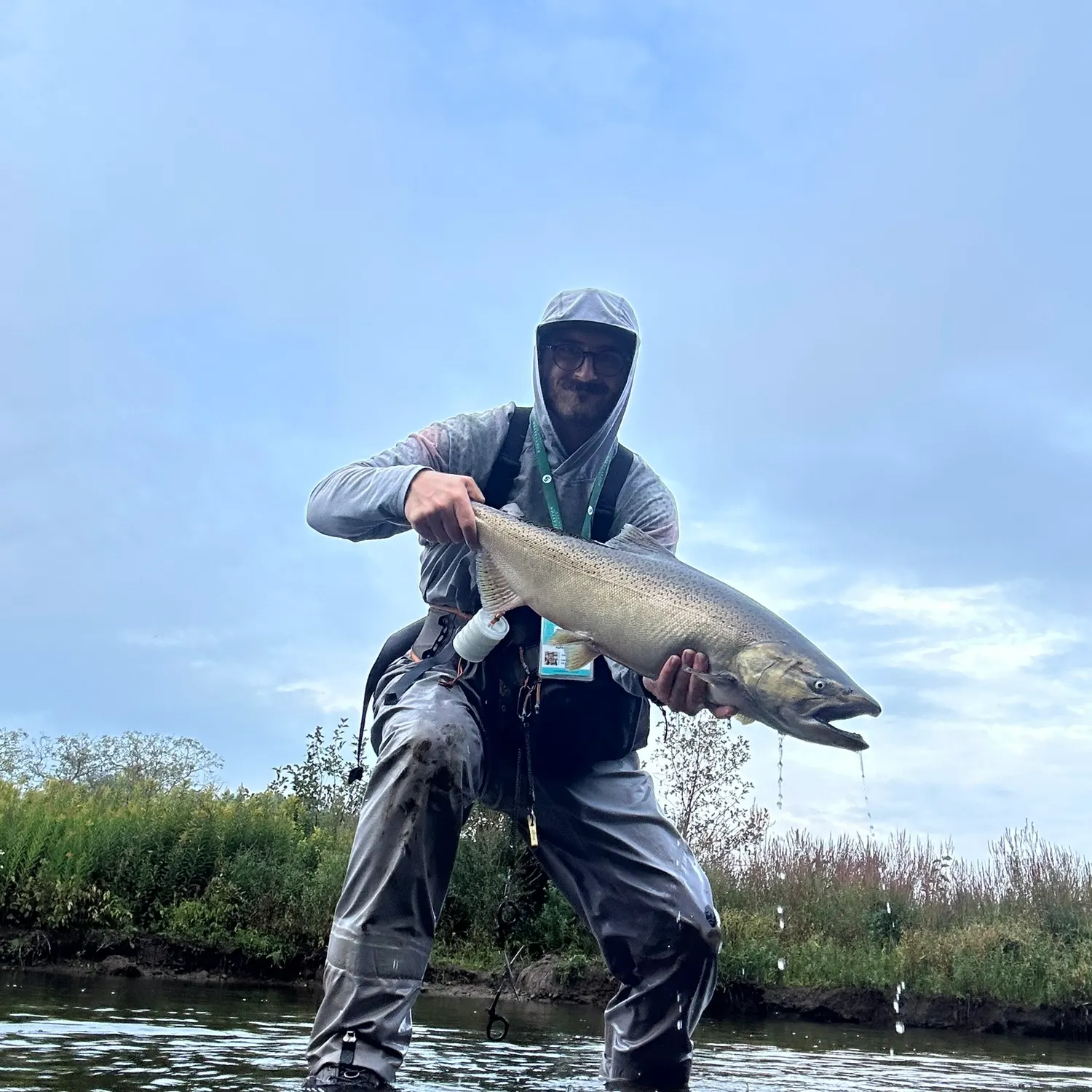 Chinook salmon caught on Fishbrain