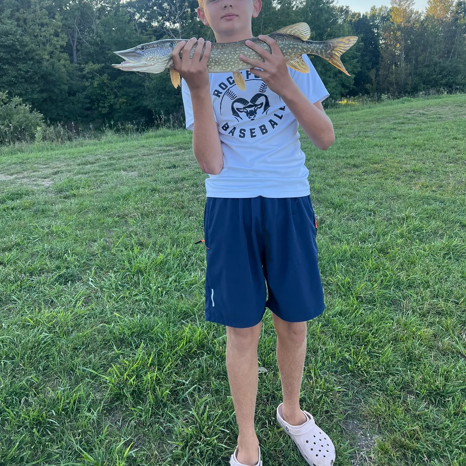 Northern pike caught on Fishbrain