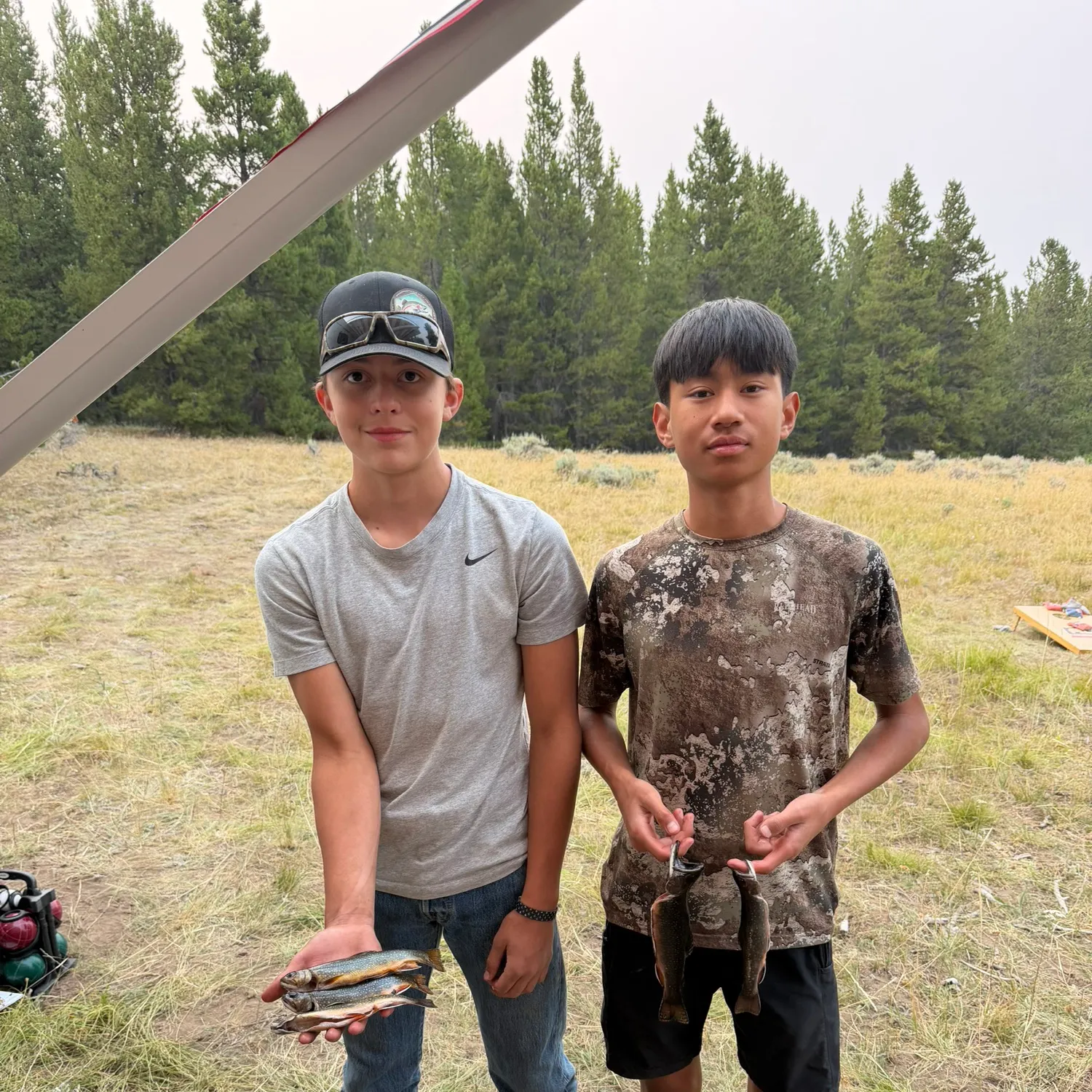 Brook trout caught on Fishbrain