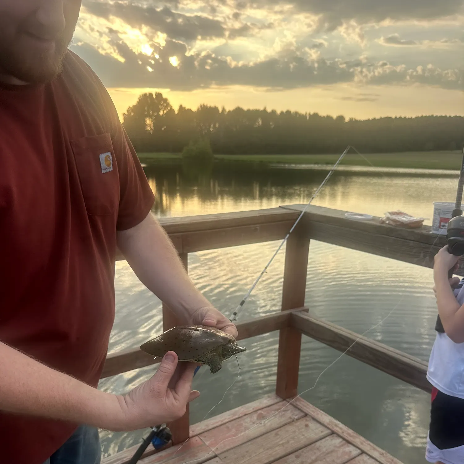 The most recent Spiny softshell turtle catches on Fishbrain