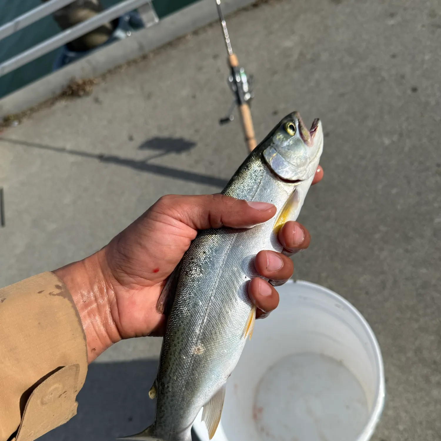 catch