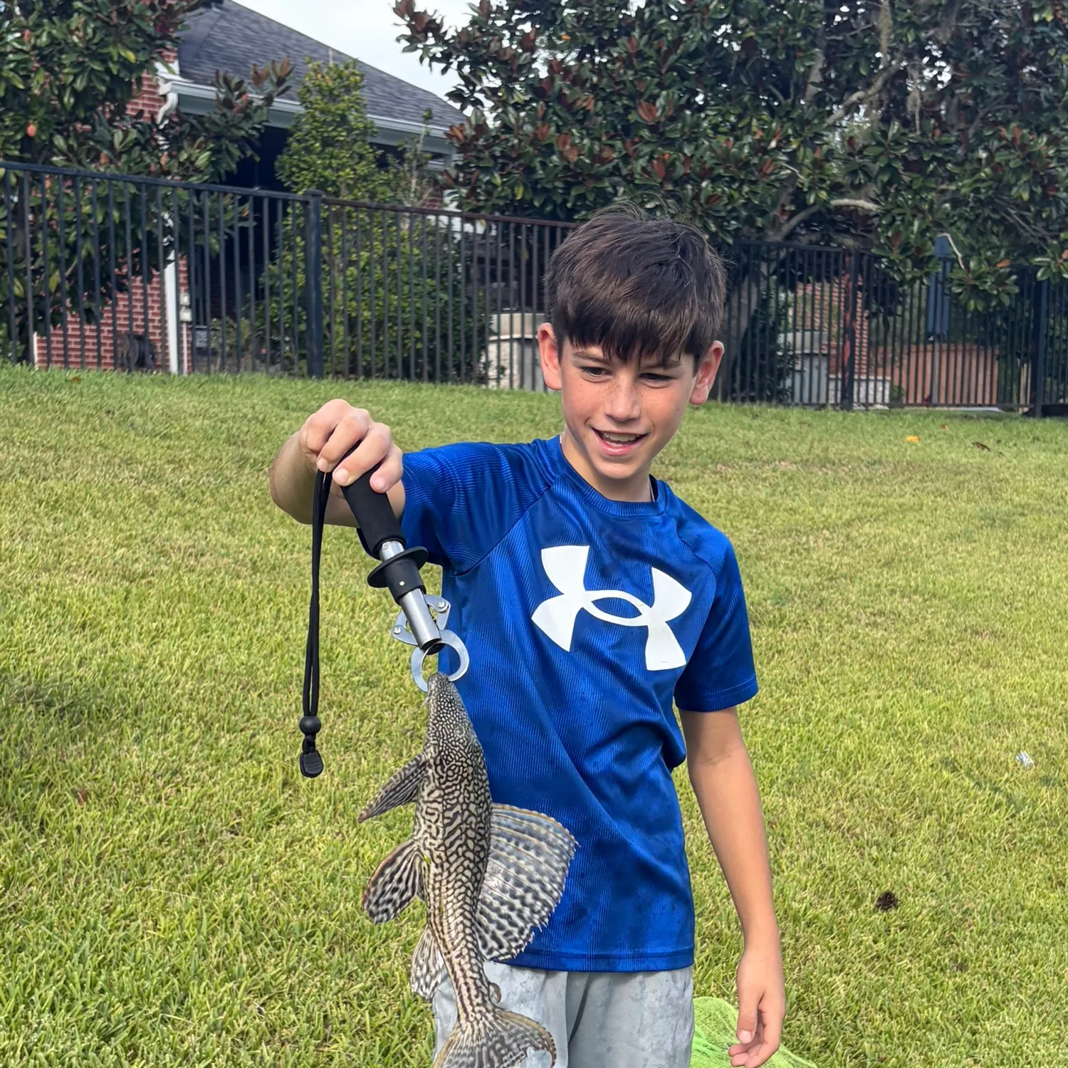 Suckermouth catfish caught on Fishbrain