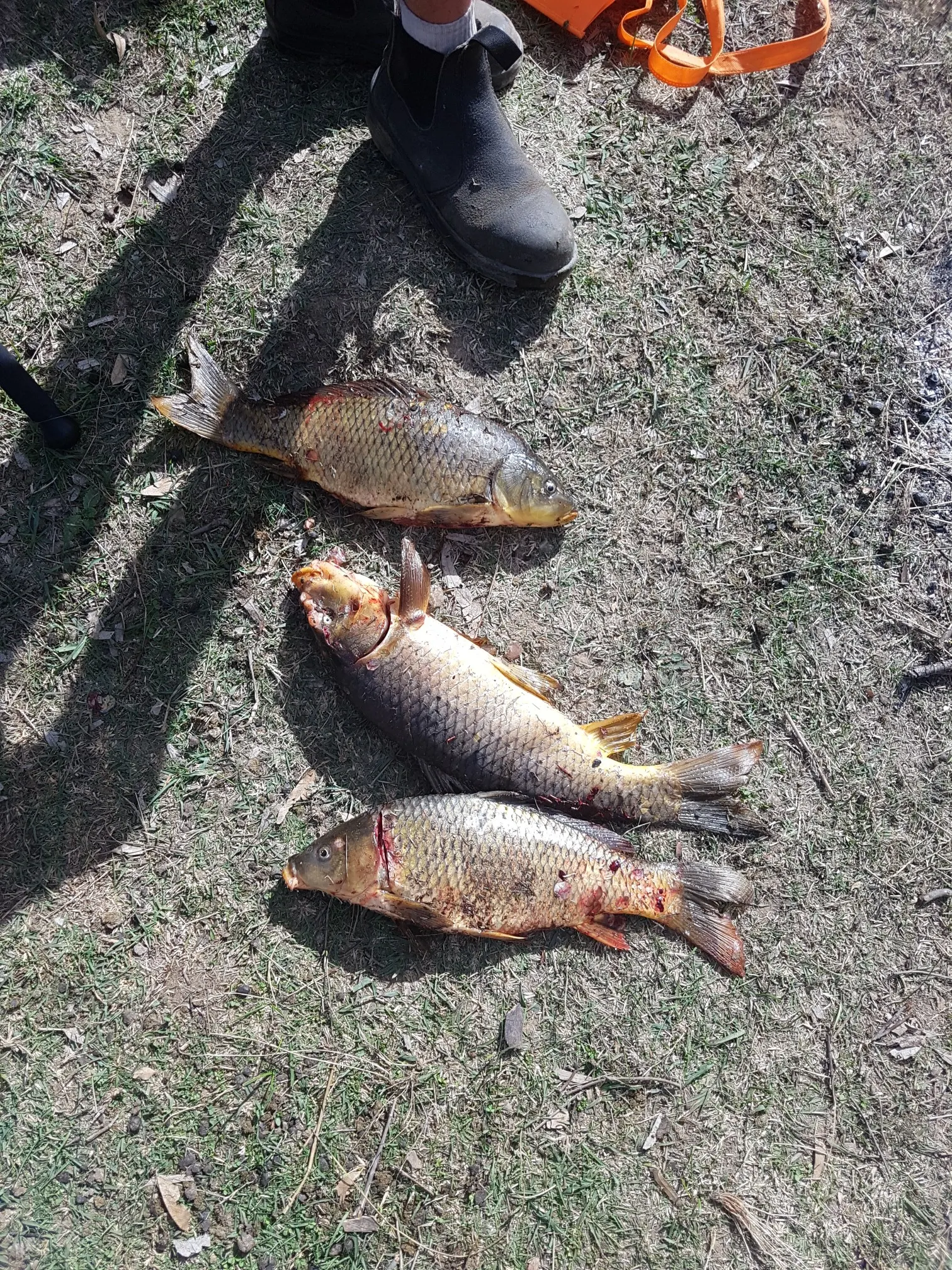 Post image from benwelsh02