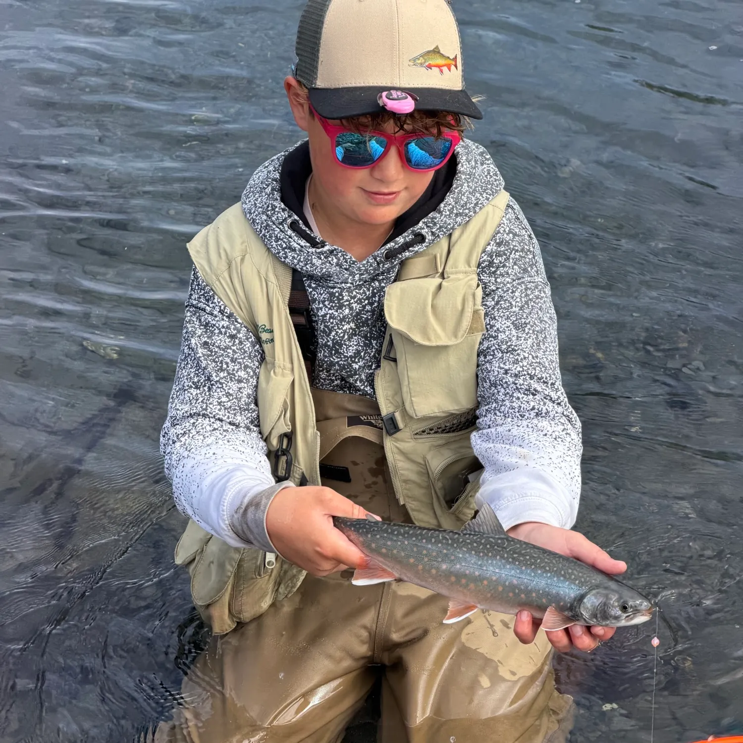 Dolly varden caught on Fishbrain