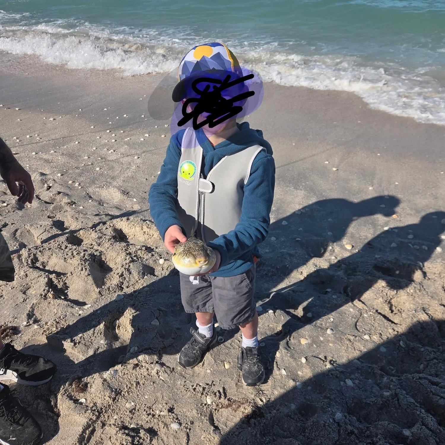 The most recent Milkspotted puffer catches on Fishbrain