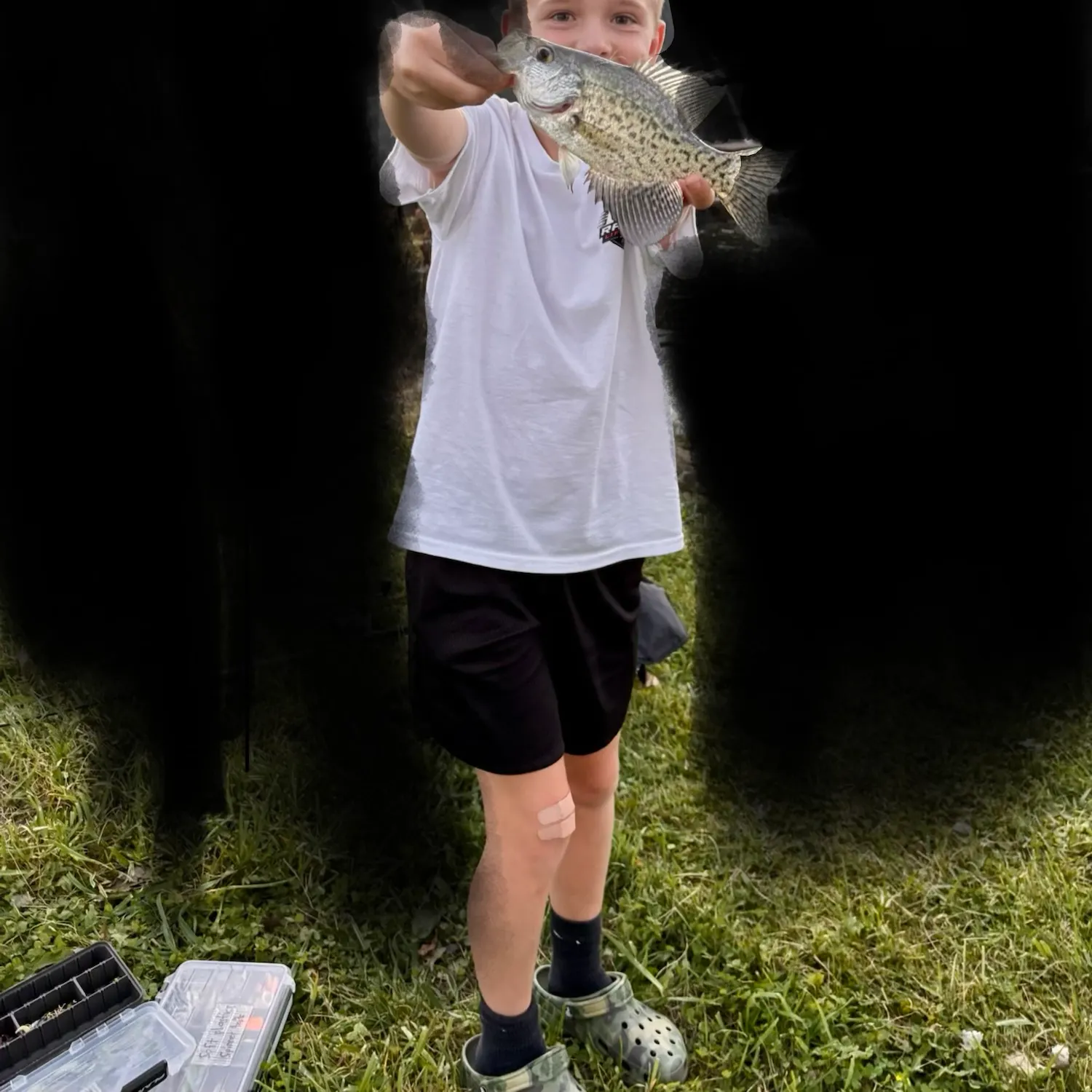 Black crappie caught on Fishbrain