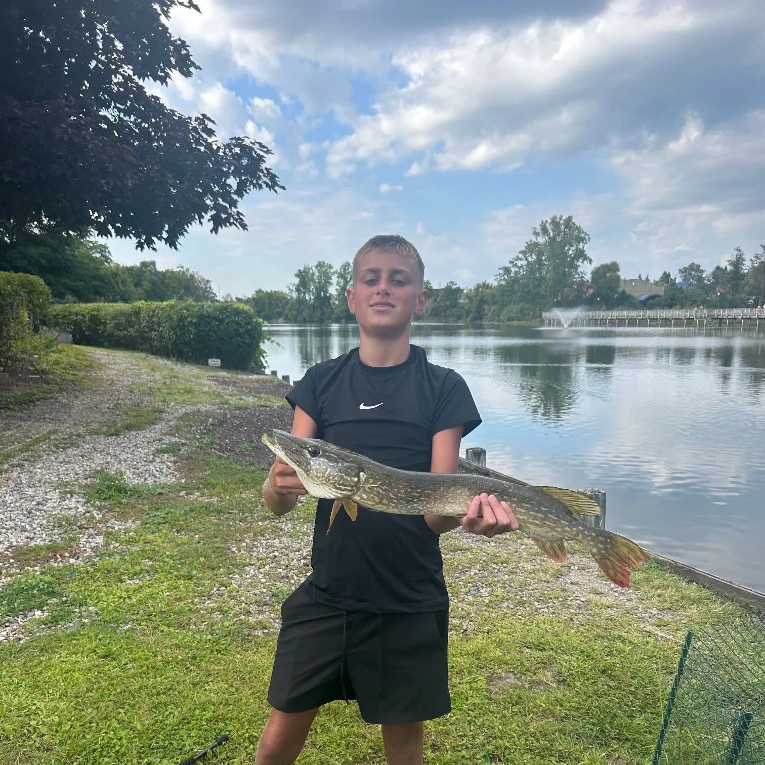 Northern pike caught on Fishbrain
