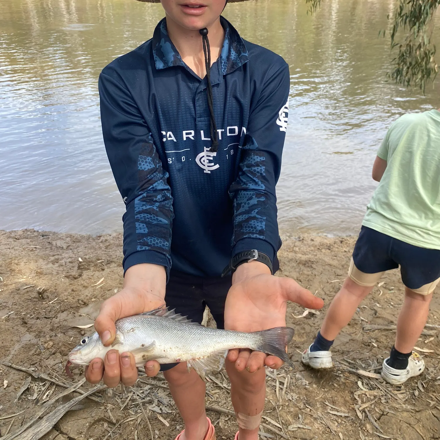 Bidyan perch caught on Fishbrain