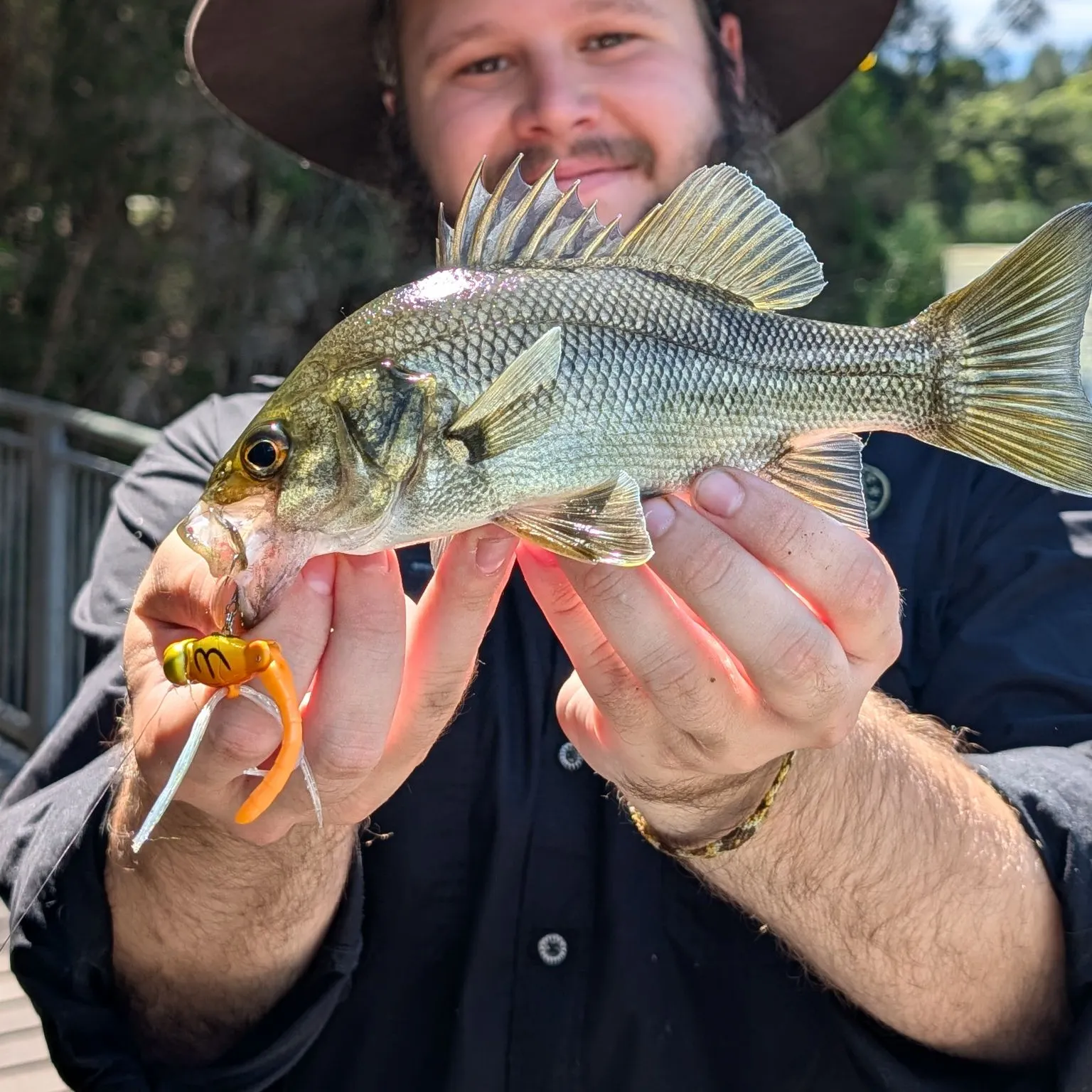 The most recent Australian bass catches on Fishbrain