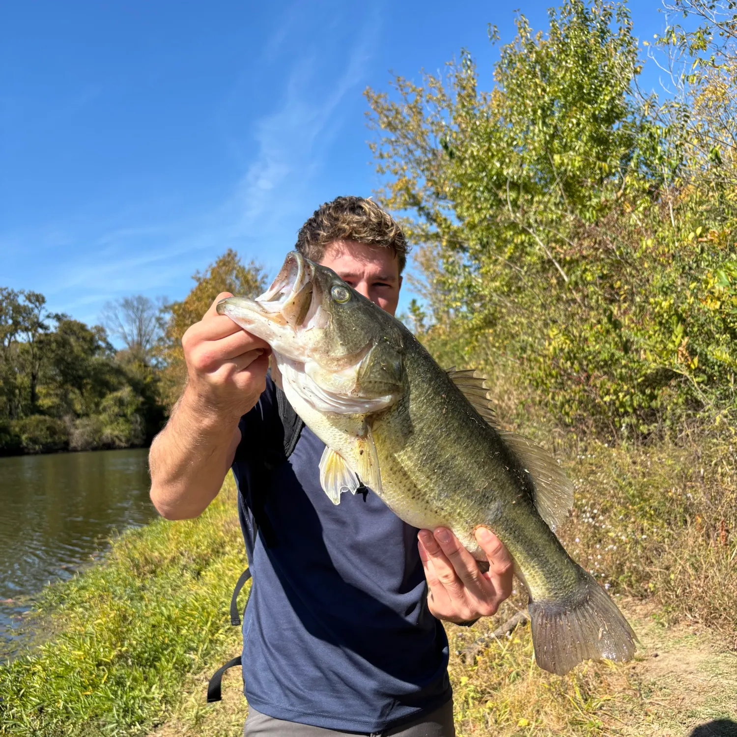Largemouth bass caught on Fishbrain