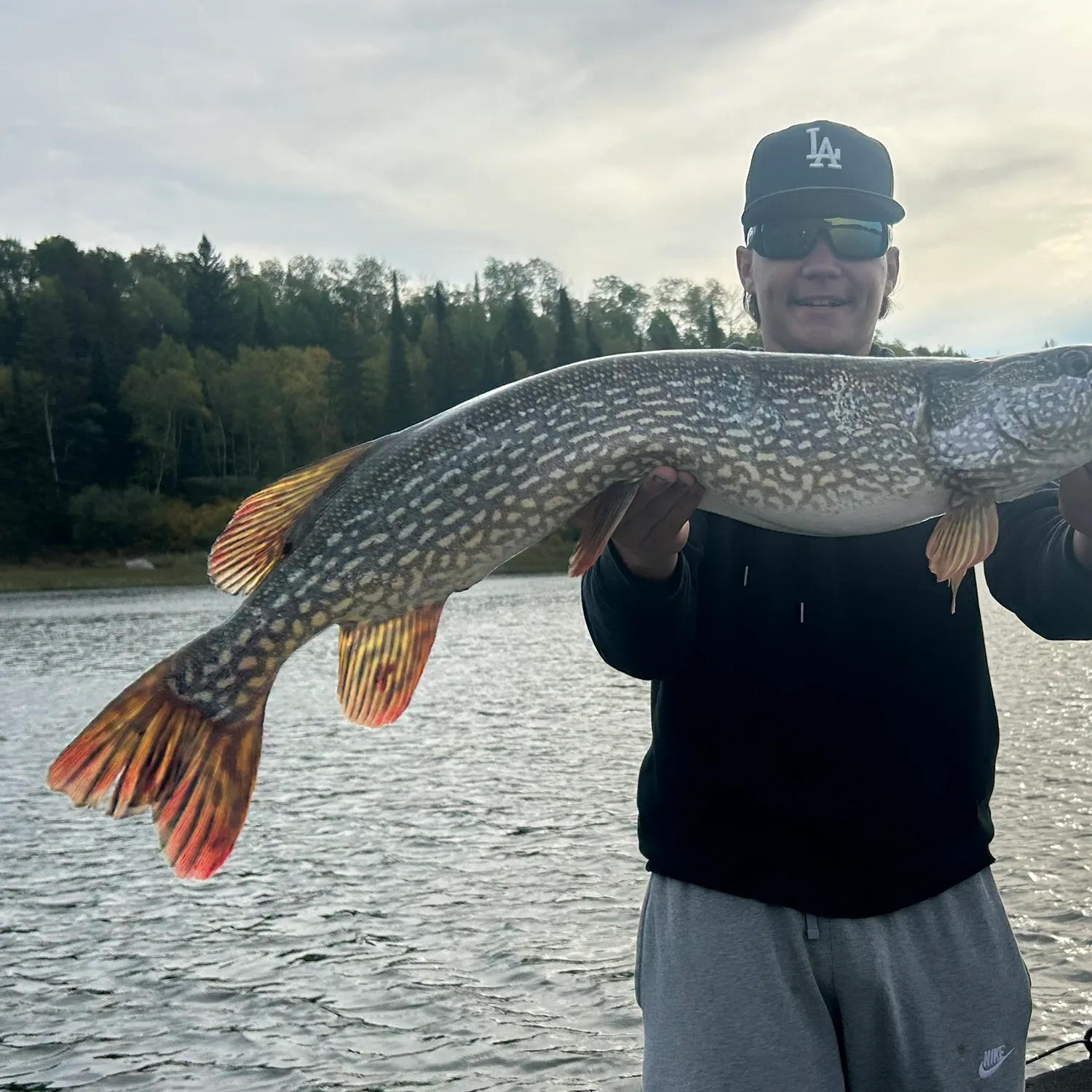 Northern pike caught on Fishbrain