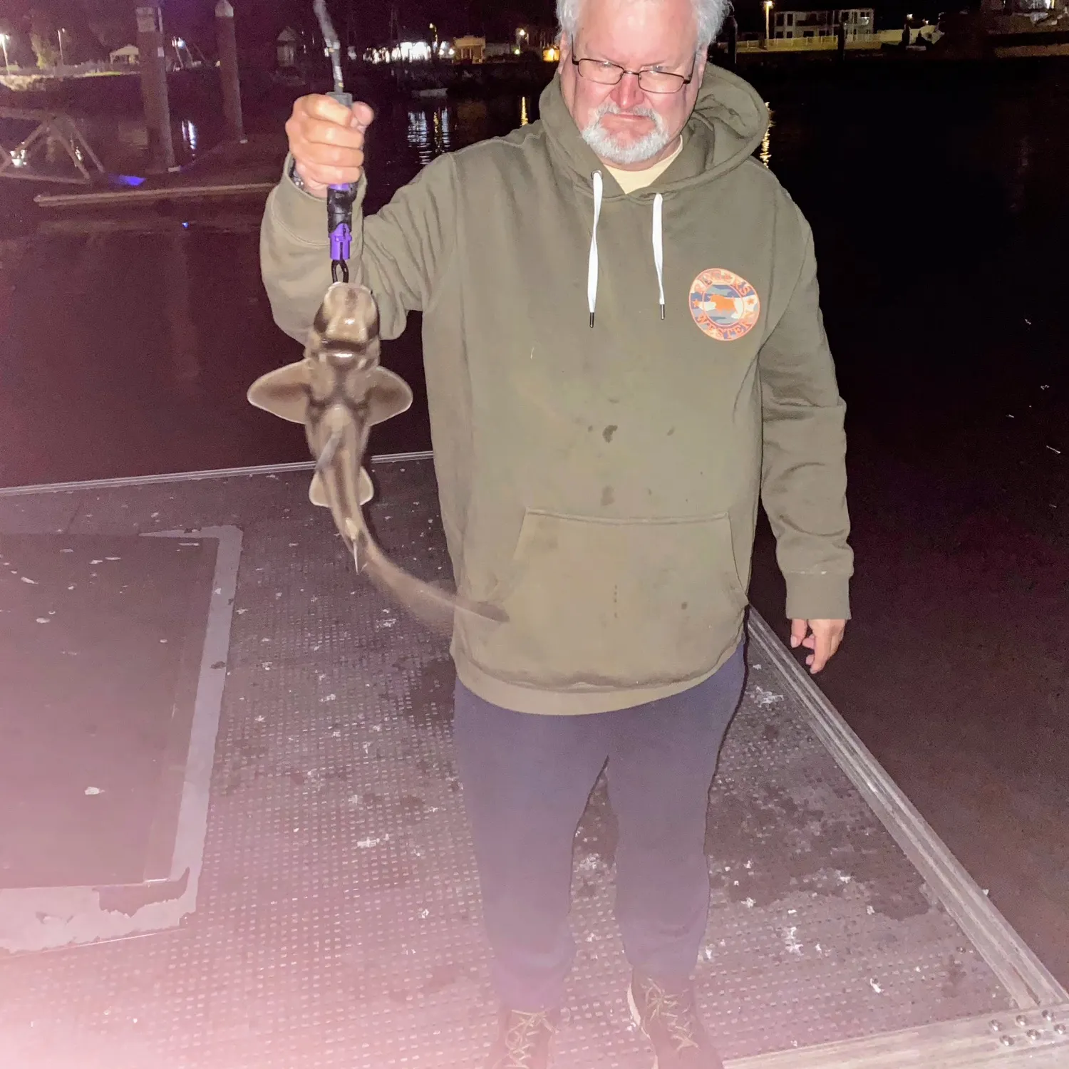 The most recent Port Jackson shark catches on Fishbrain