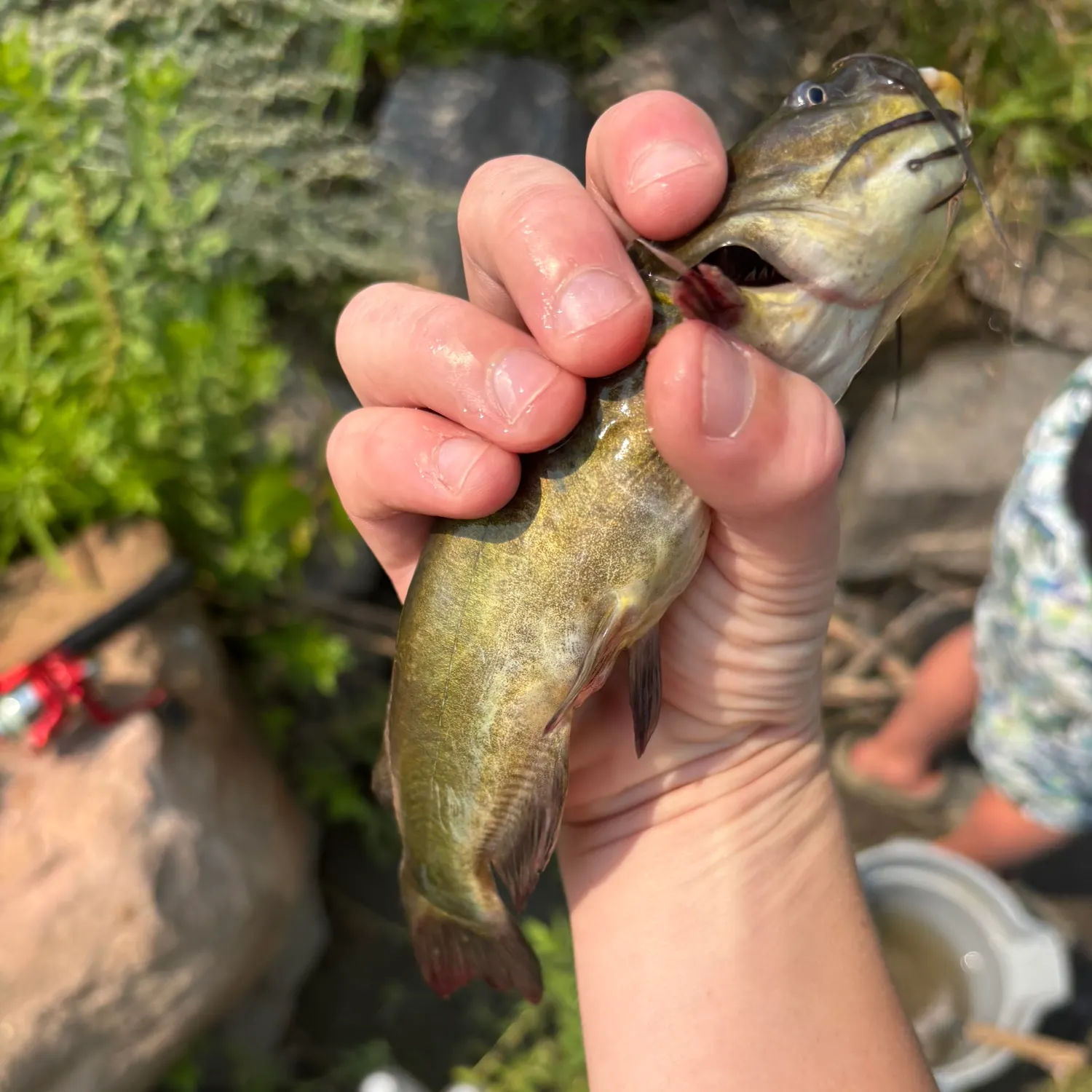 catch