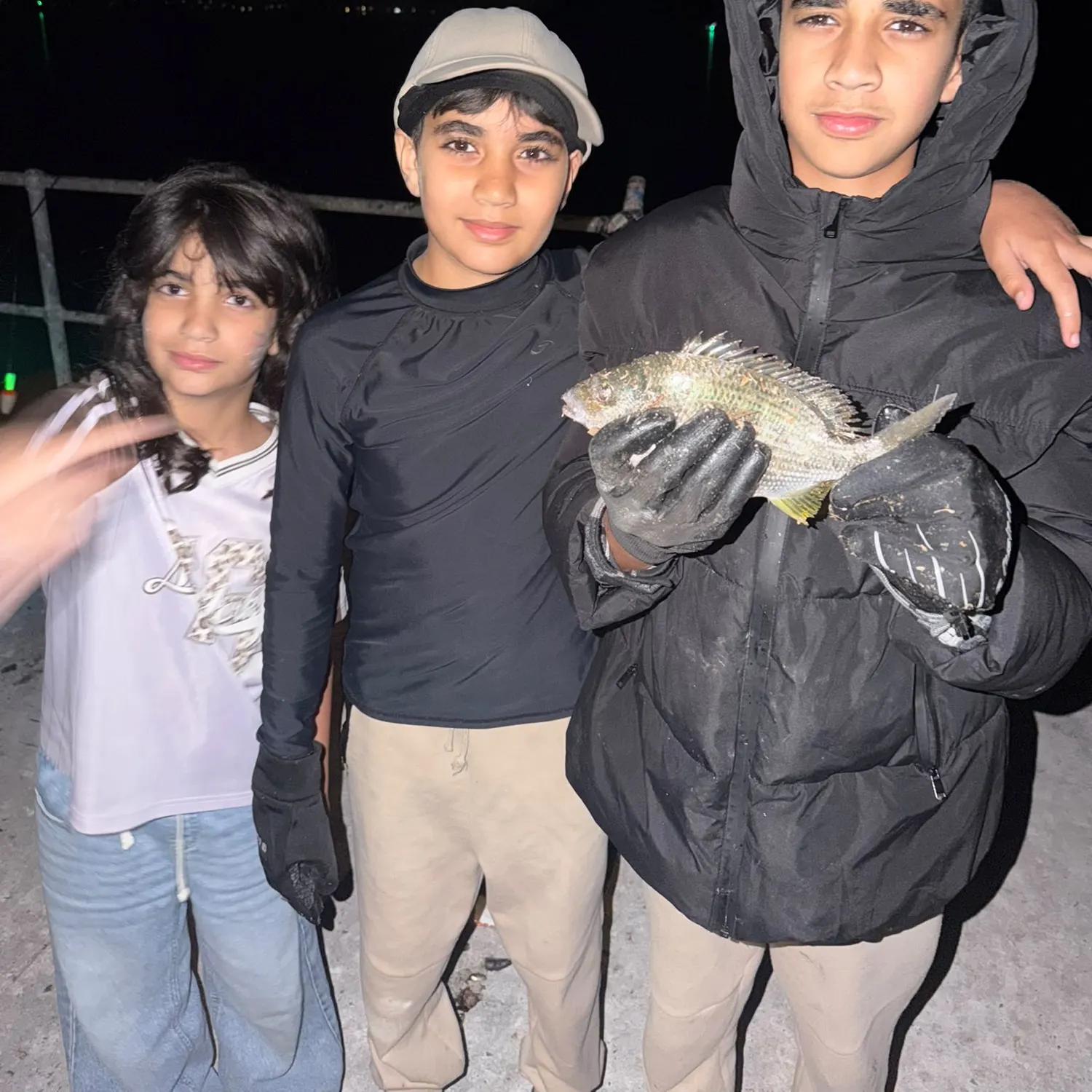 Surf bream caught on Fishbrain