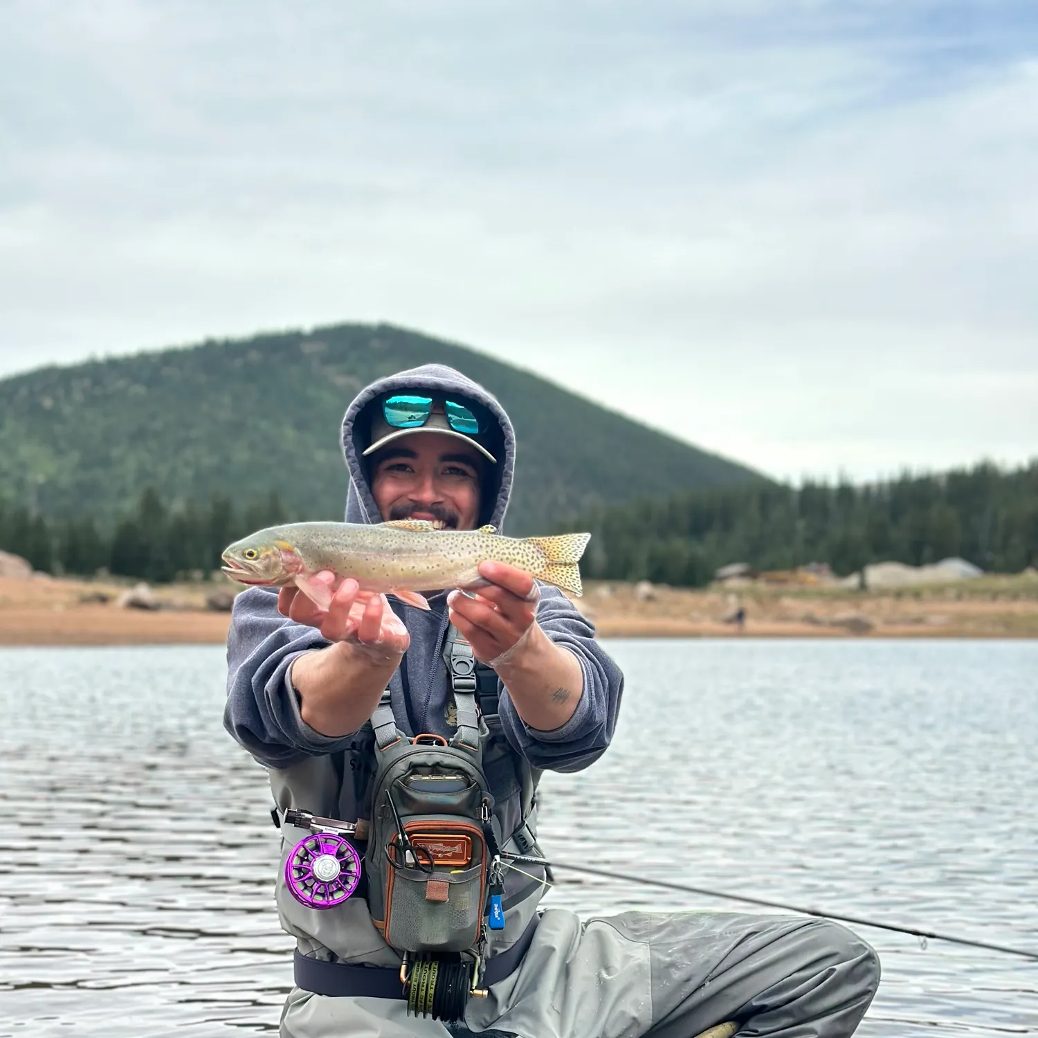Cutthroat trout caught on Fishbrain