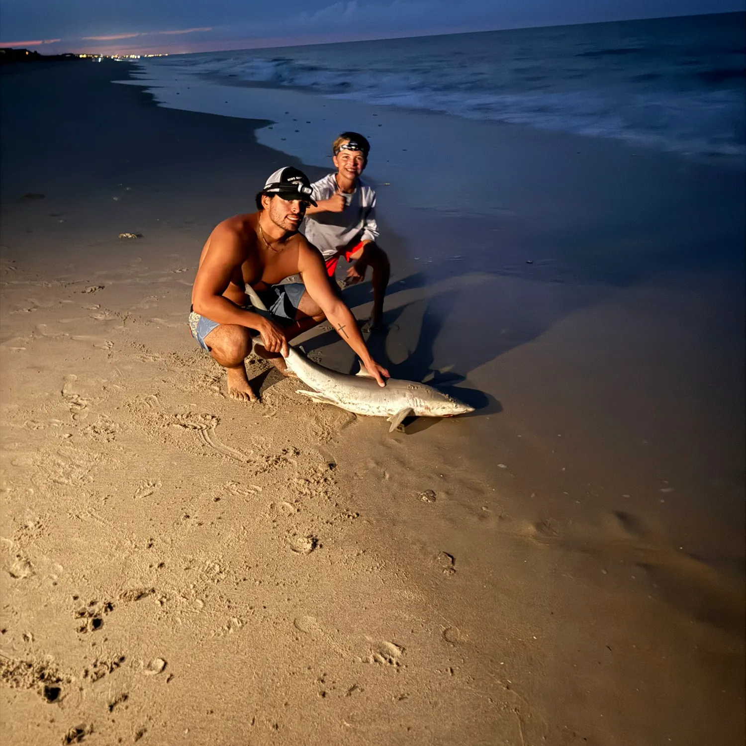 The most recent Finetooth shark catches on Fishbrain
