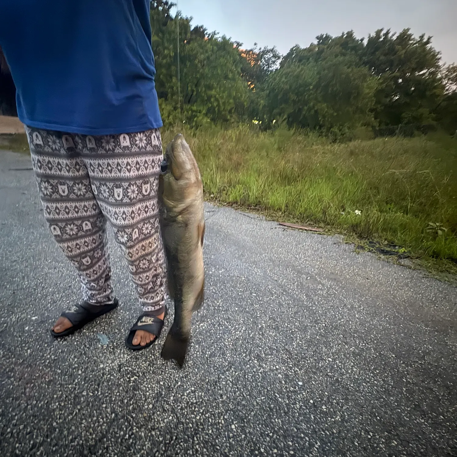 catch