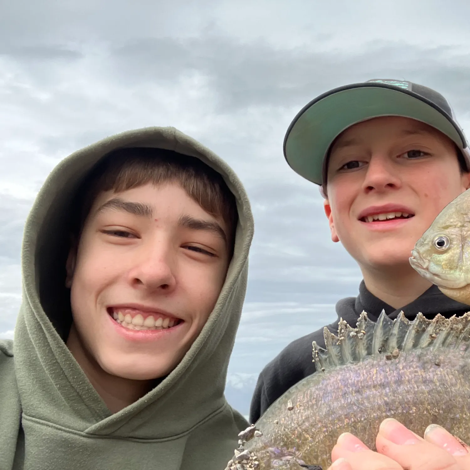 The most recent Bluegill catches on Fishbrain