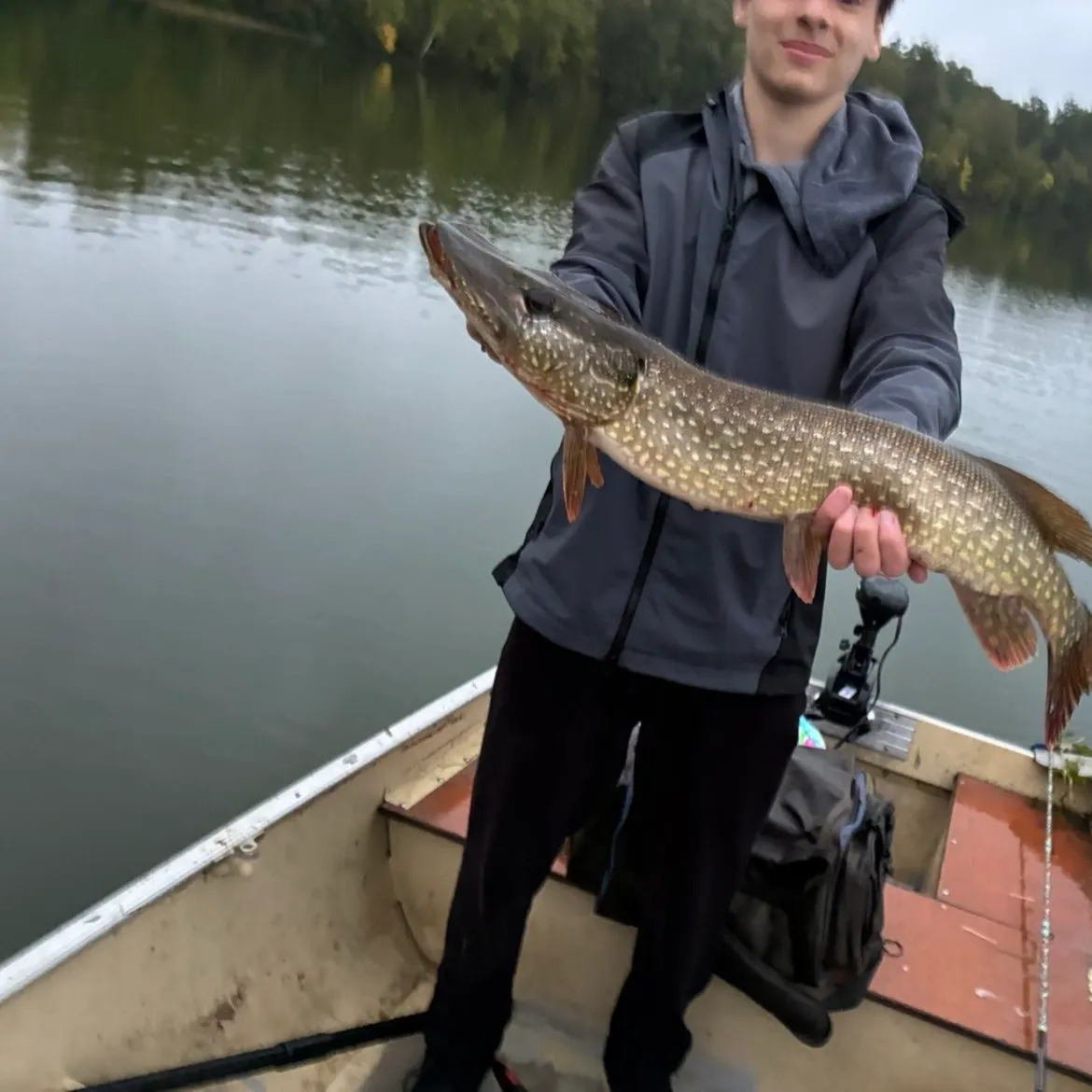 Northern pike caught on Fishbrain