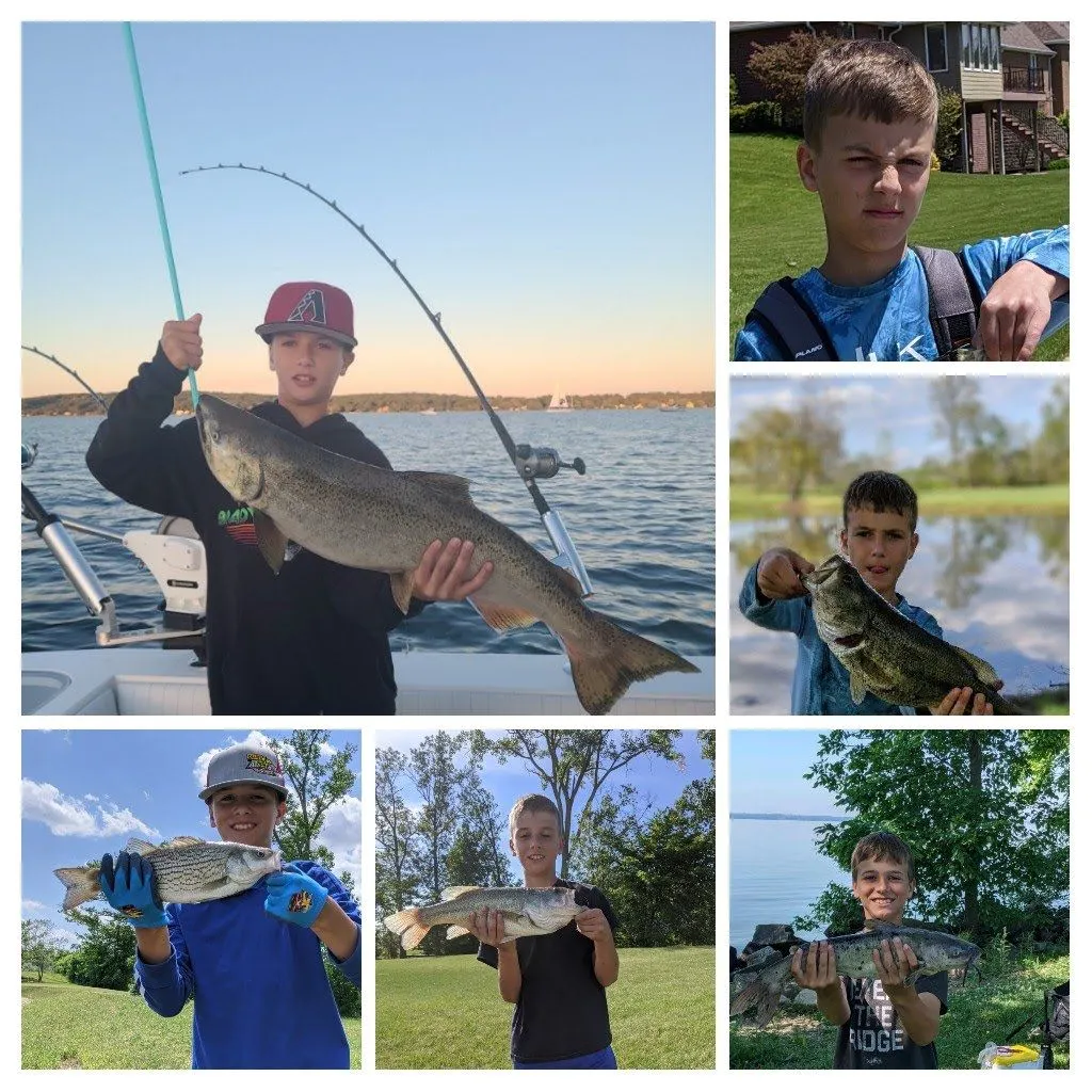The most recent Atlantic salmon catches on Fishbrain